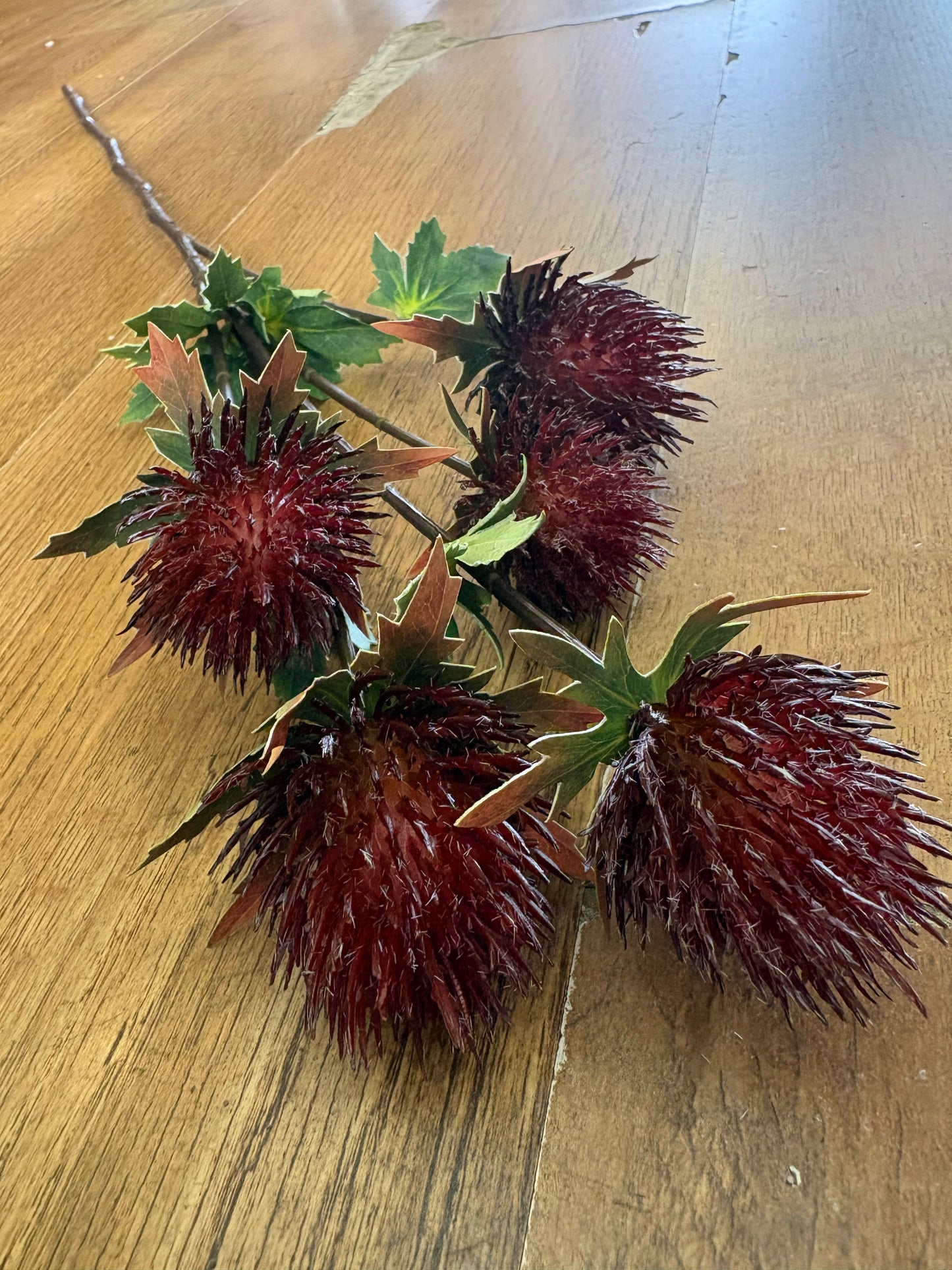 75cm tall 5 headed reddish brown premium thistle spray