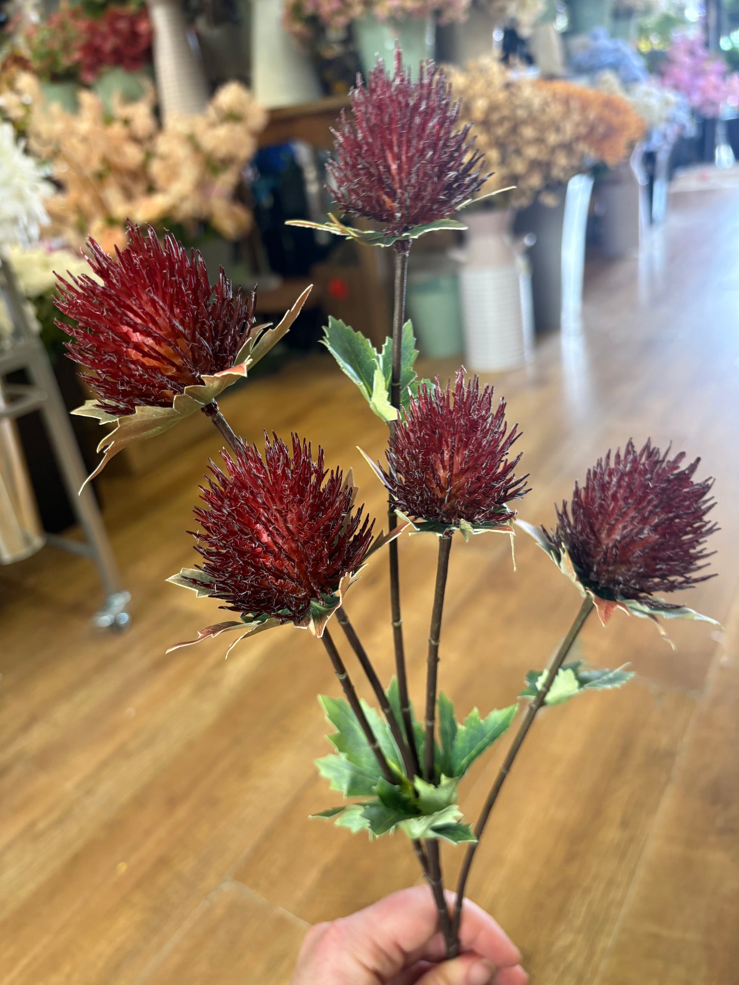 75cm tall 5 headed reddish brown premium thistle spray