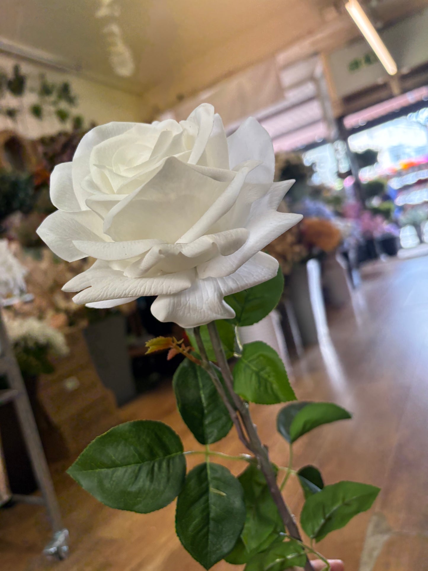 White real touch superior single rose