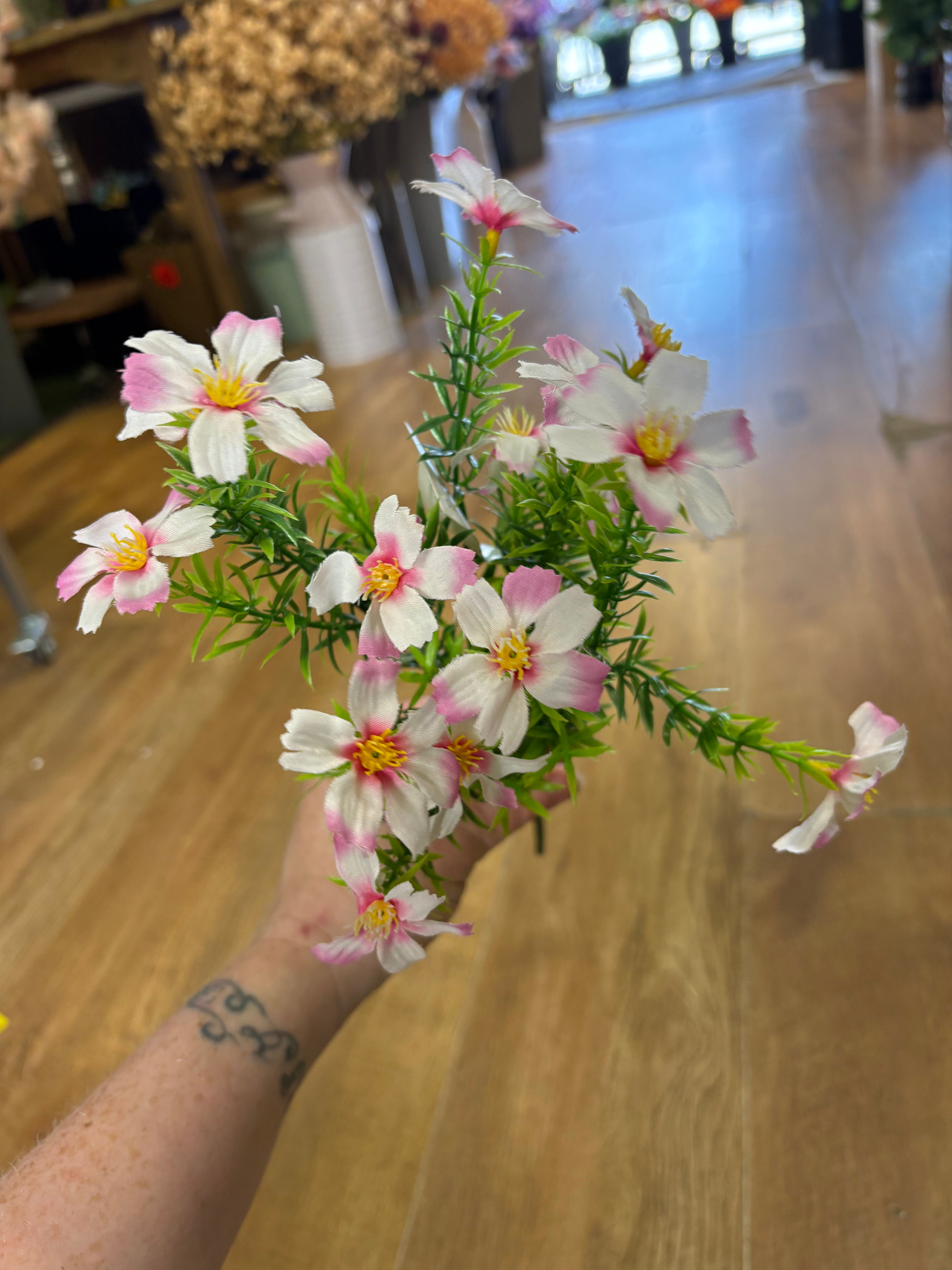 Cosmos bunch - 6 colours available