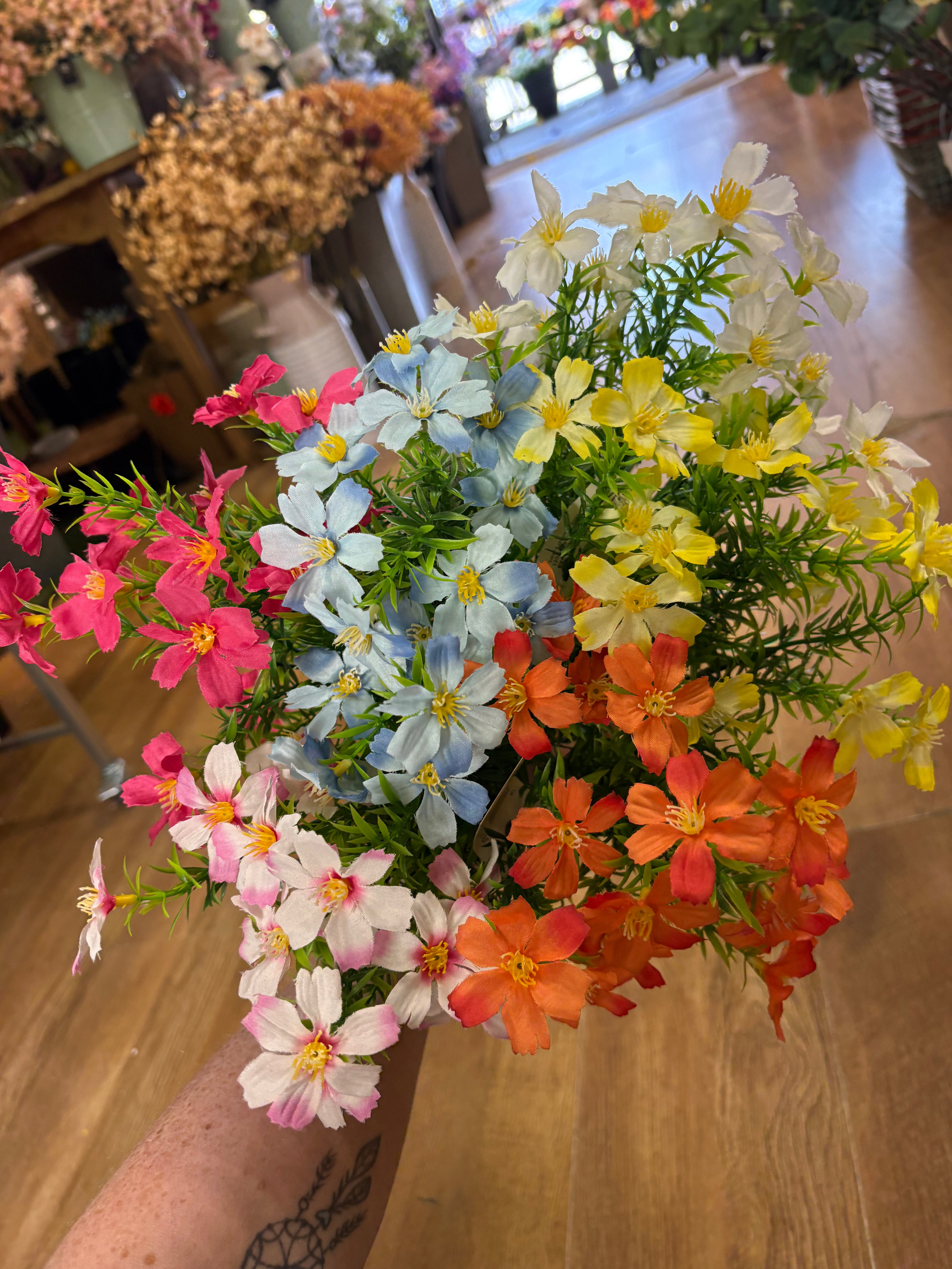 Cosmos bunch - 6 colours available