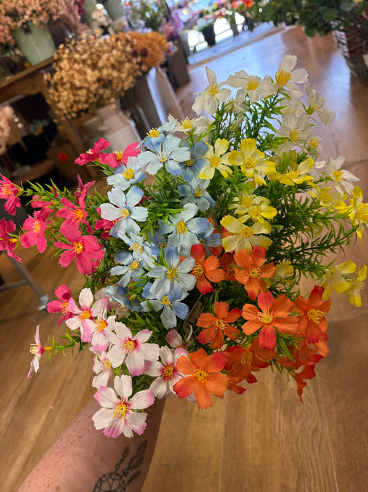 Cosmos bunch - 6 colours available
