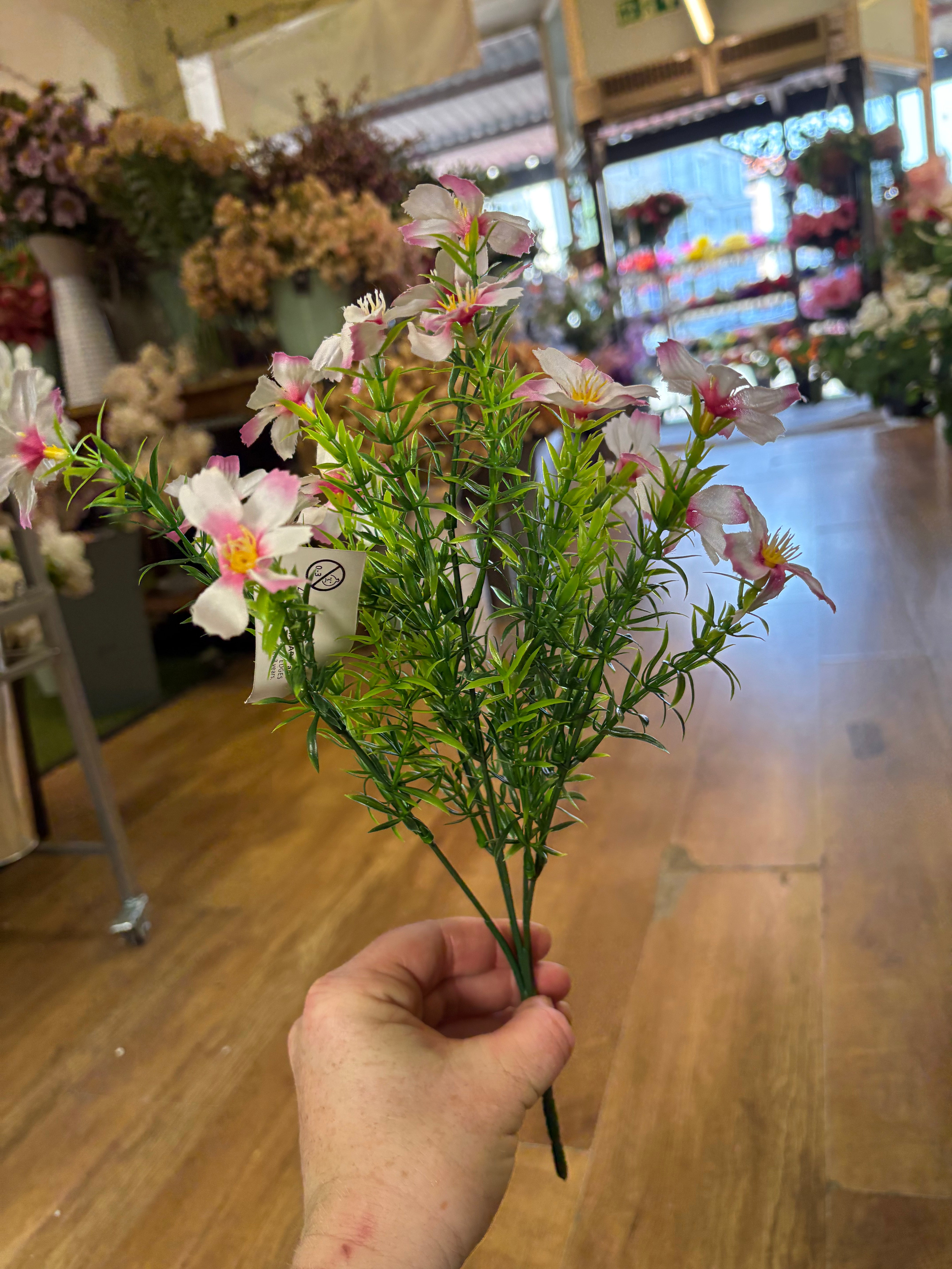 Cosmos bunch - 6 colours available