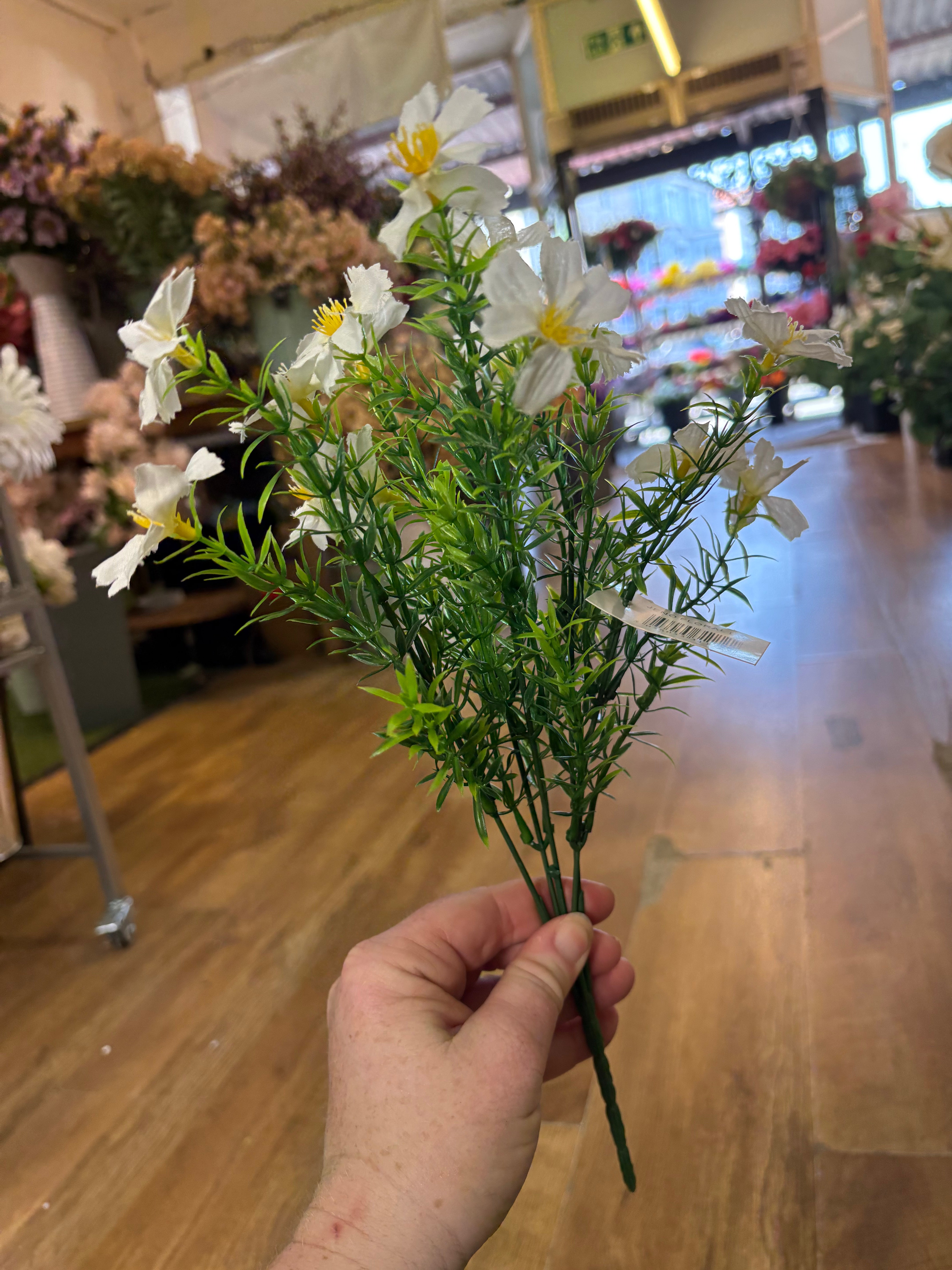 Cosmos bunch - 6 colours available