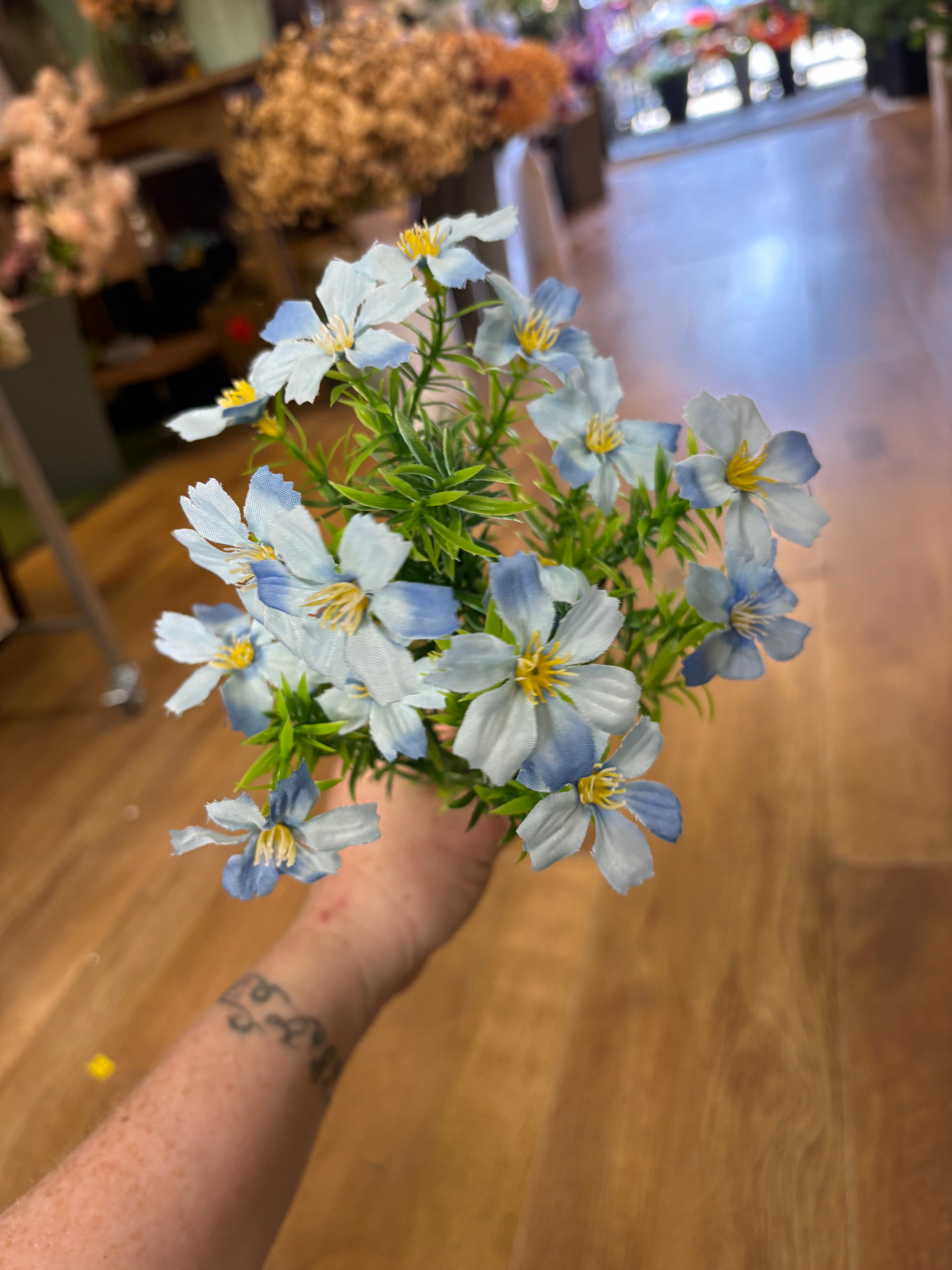 Cosmos bunch - 6 colours available