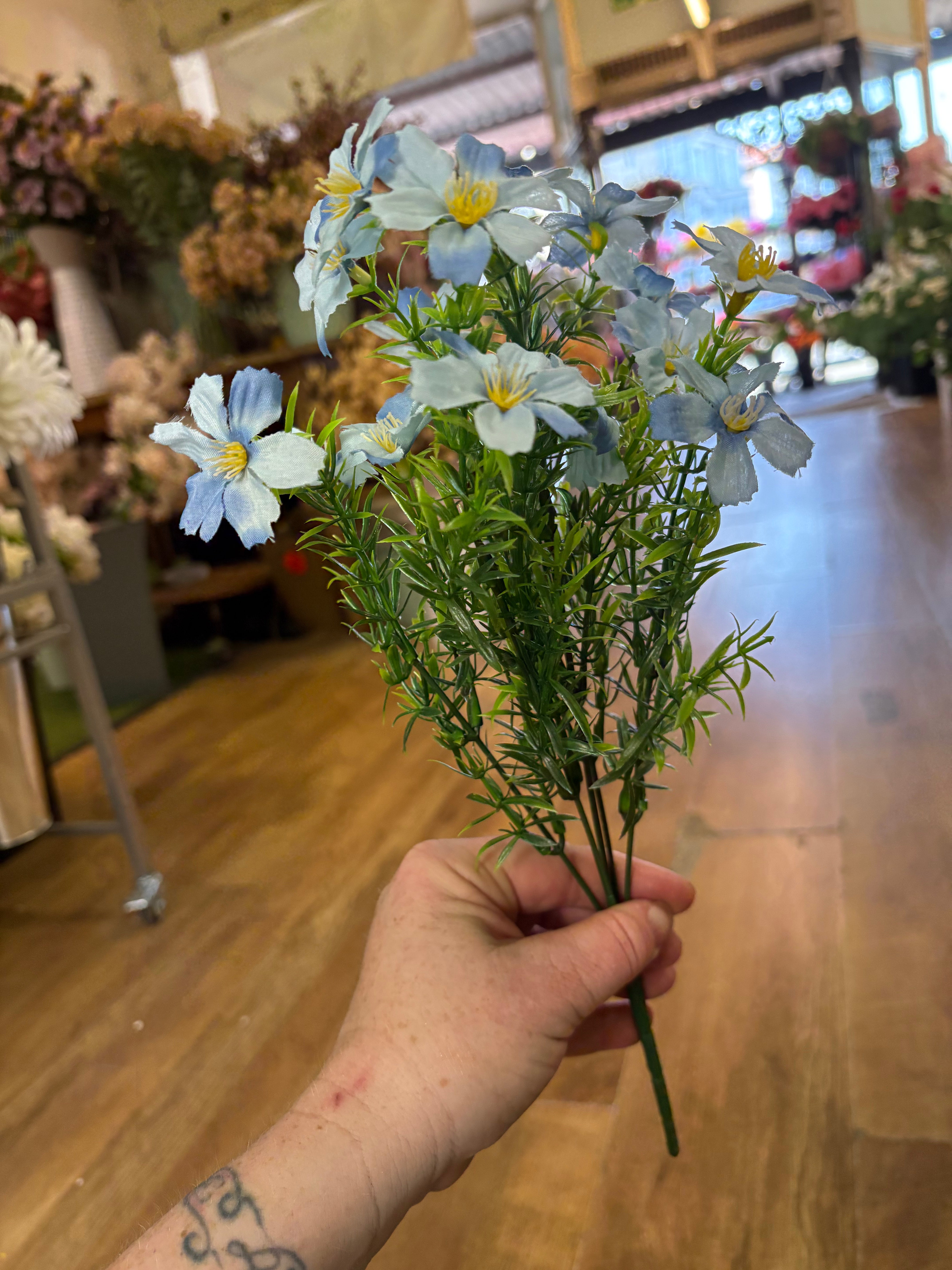 Cosmos bunch - 6 colours available