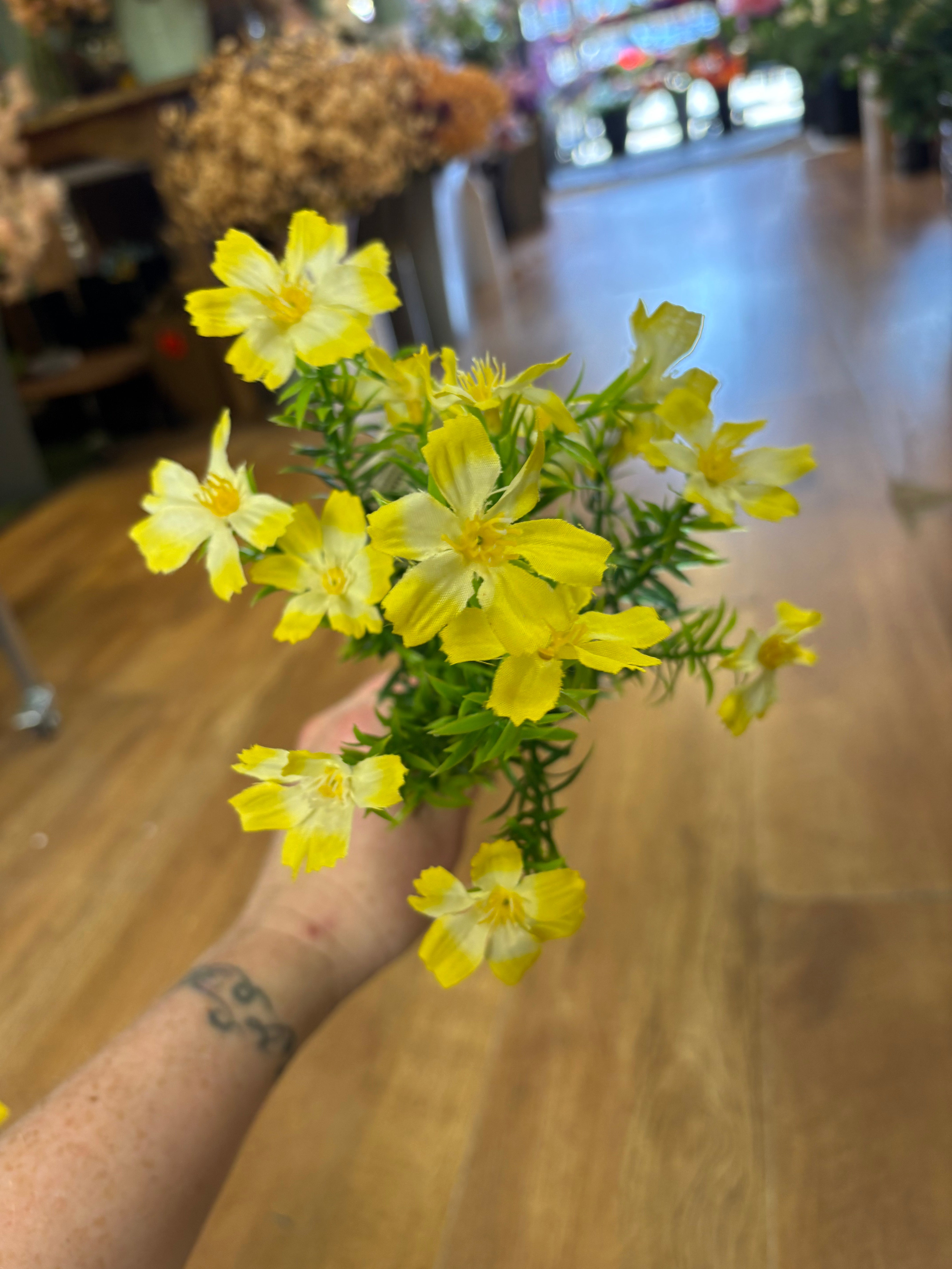 Cosmos bunch - 6 colours available