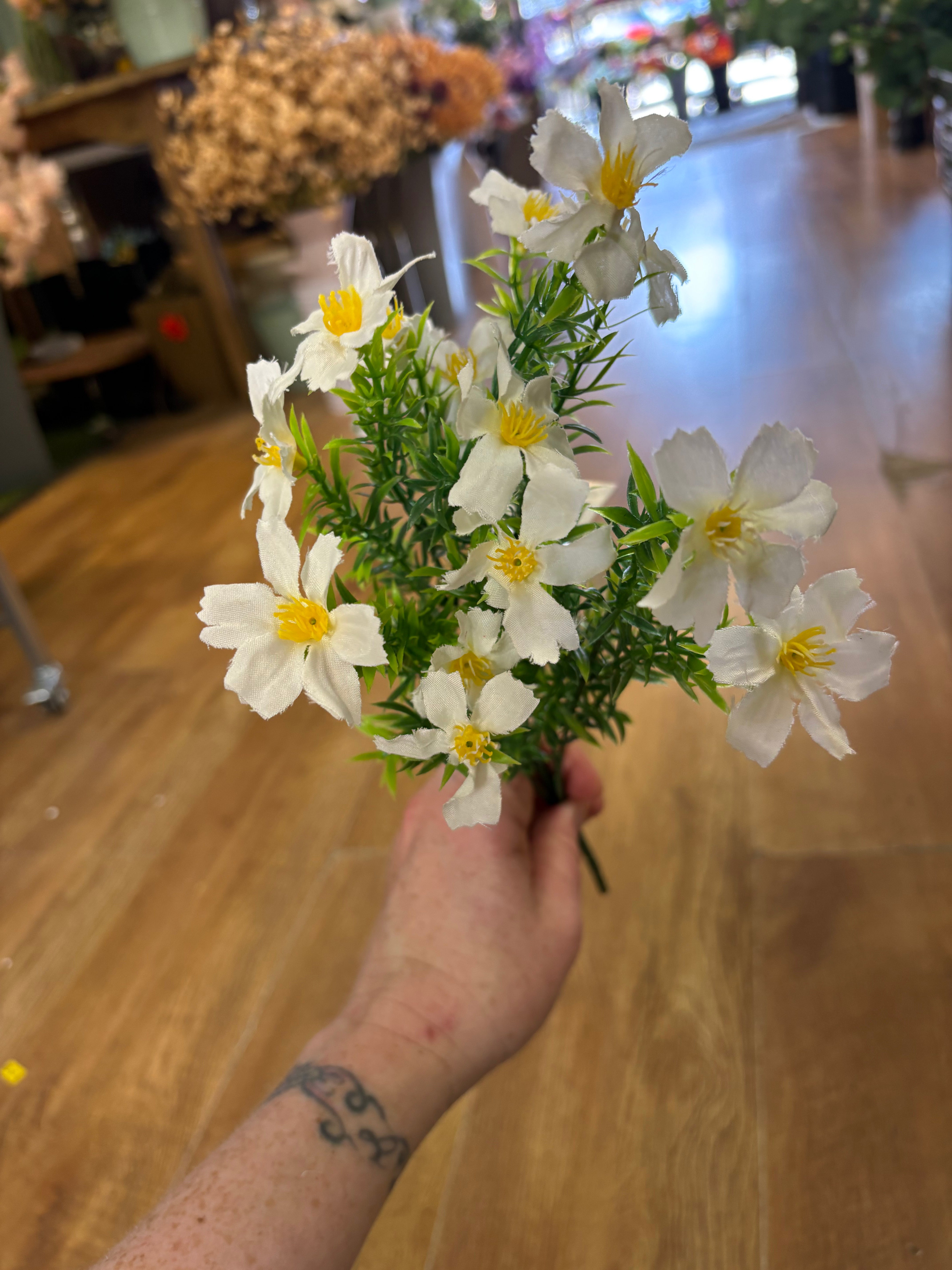 Cosmos bunch - 6 colours available