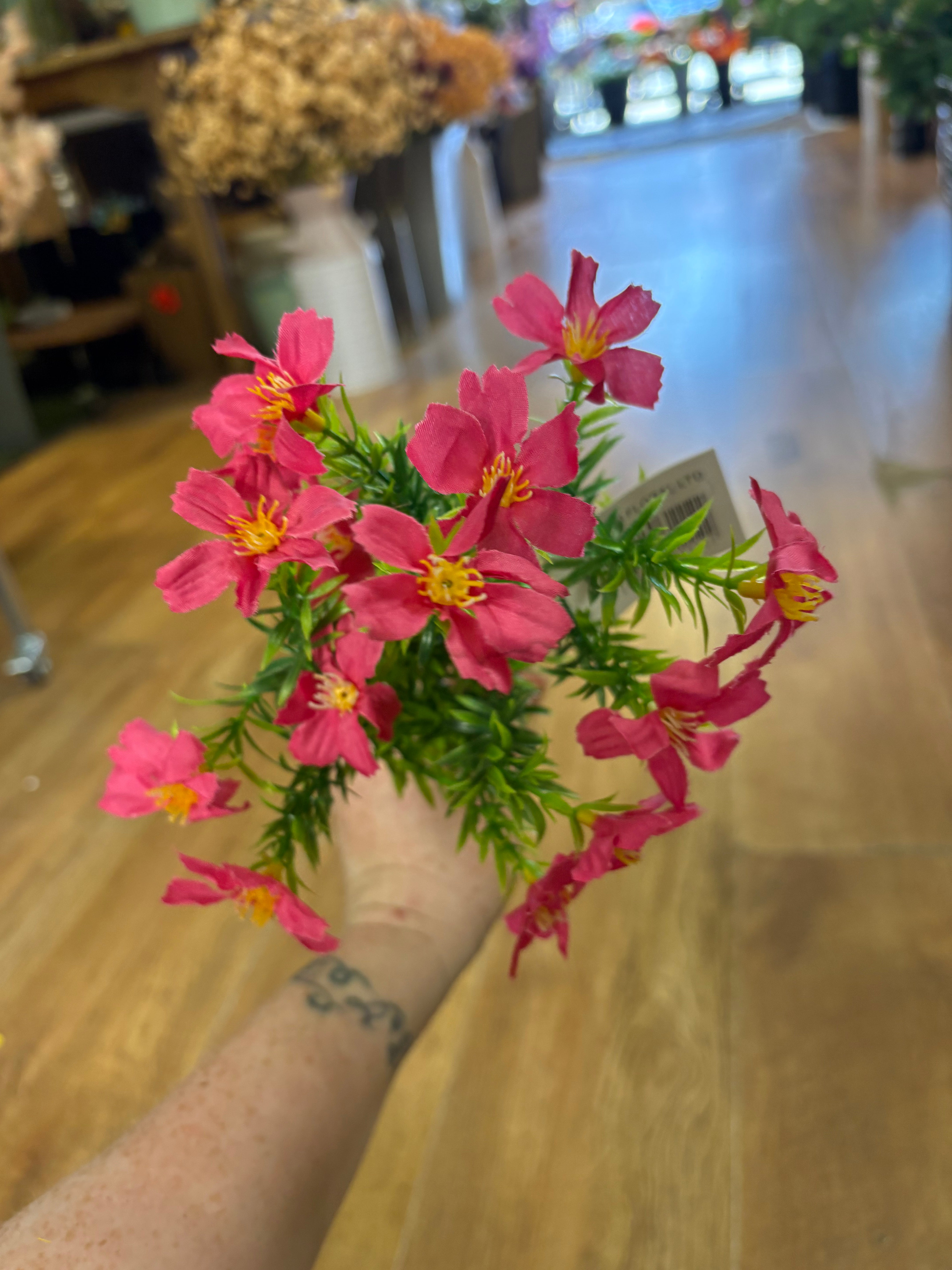 Cosmos bunch - 6 colours available