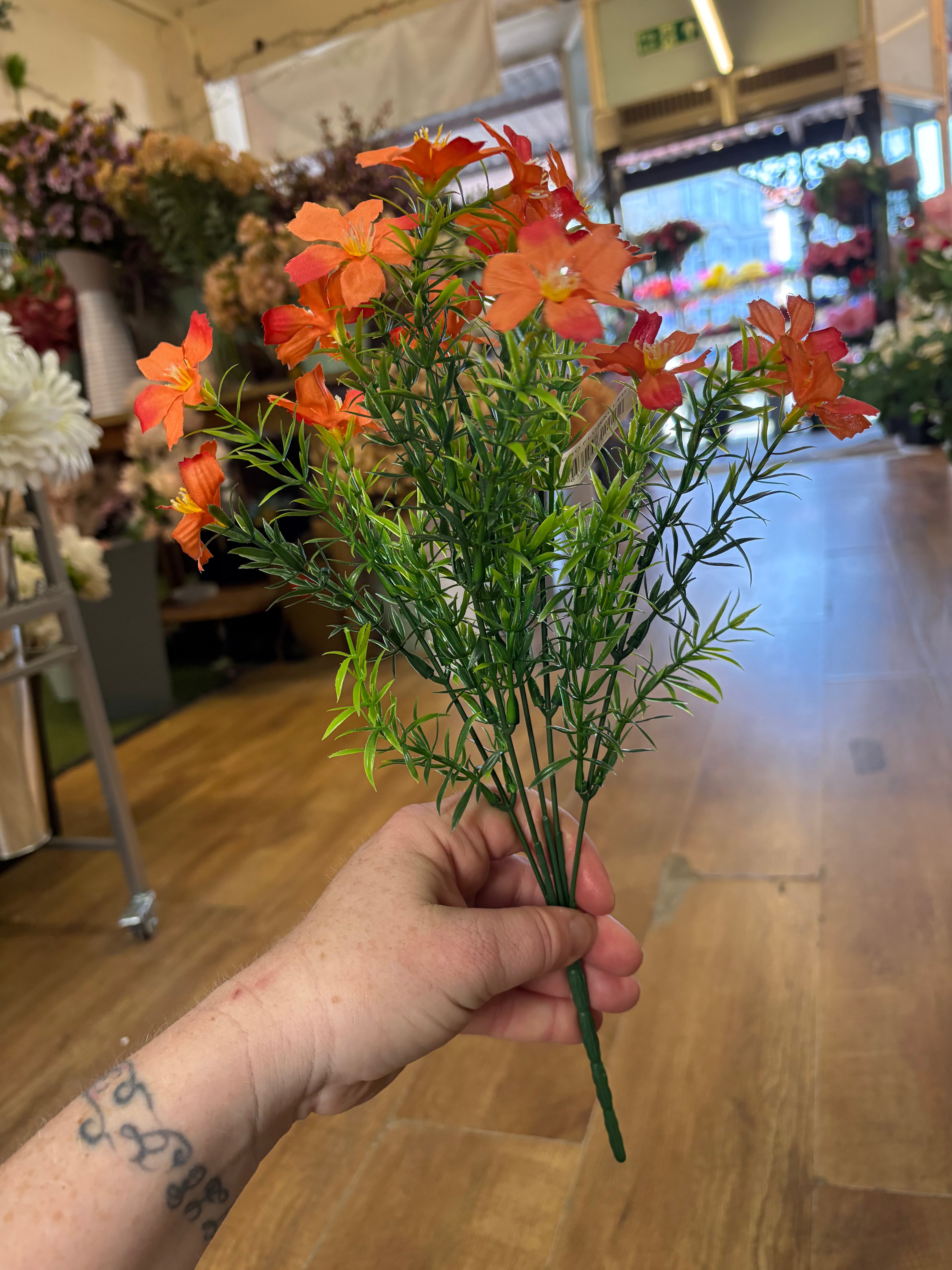 Cosmos bunch - 6 colours available