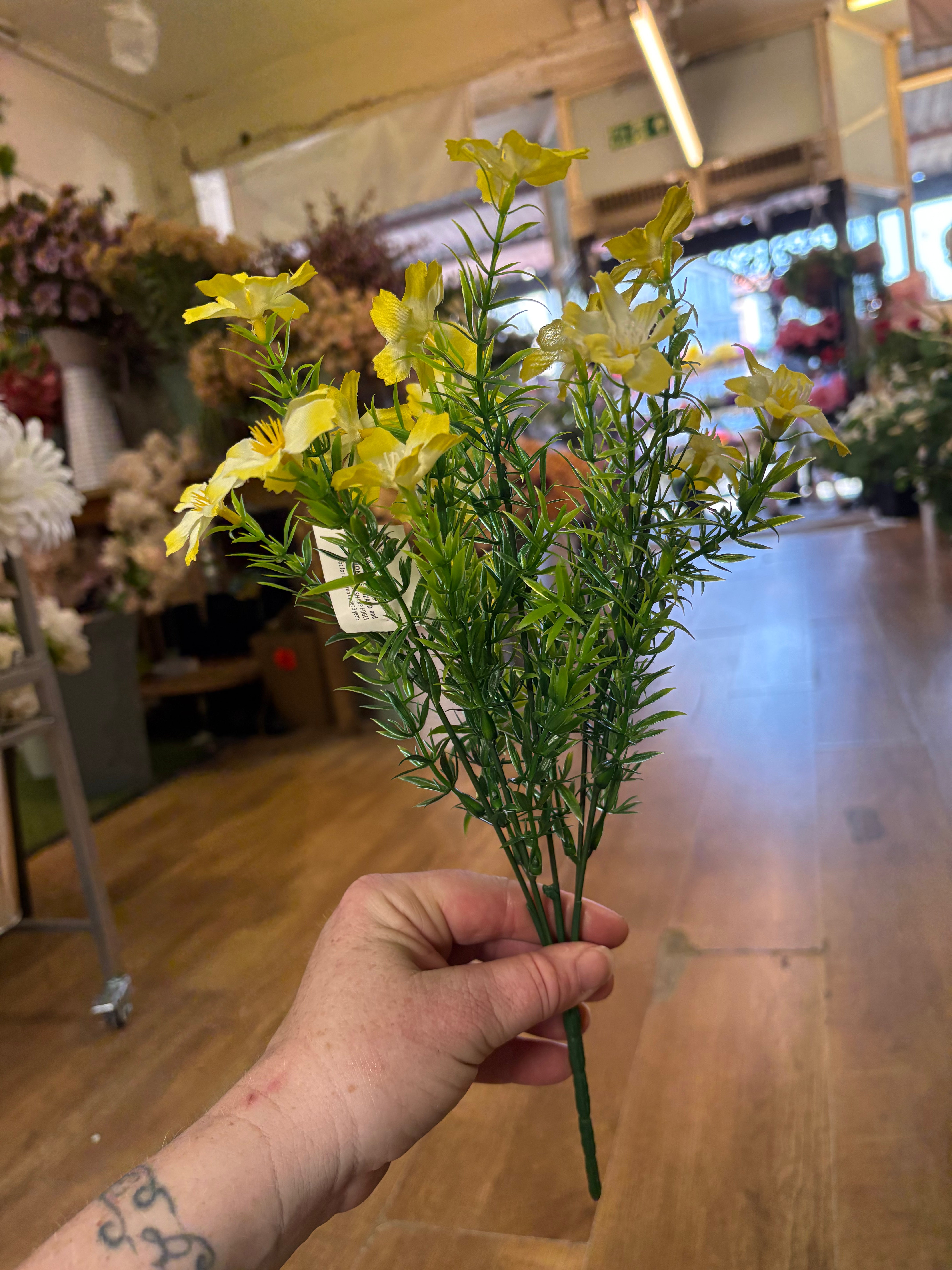 Cosmos bunch - 6 colours available