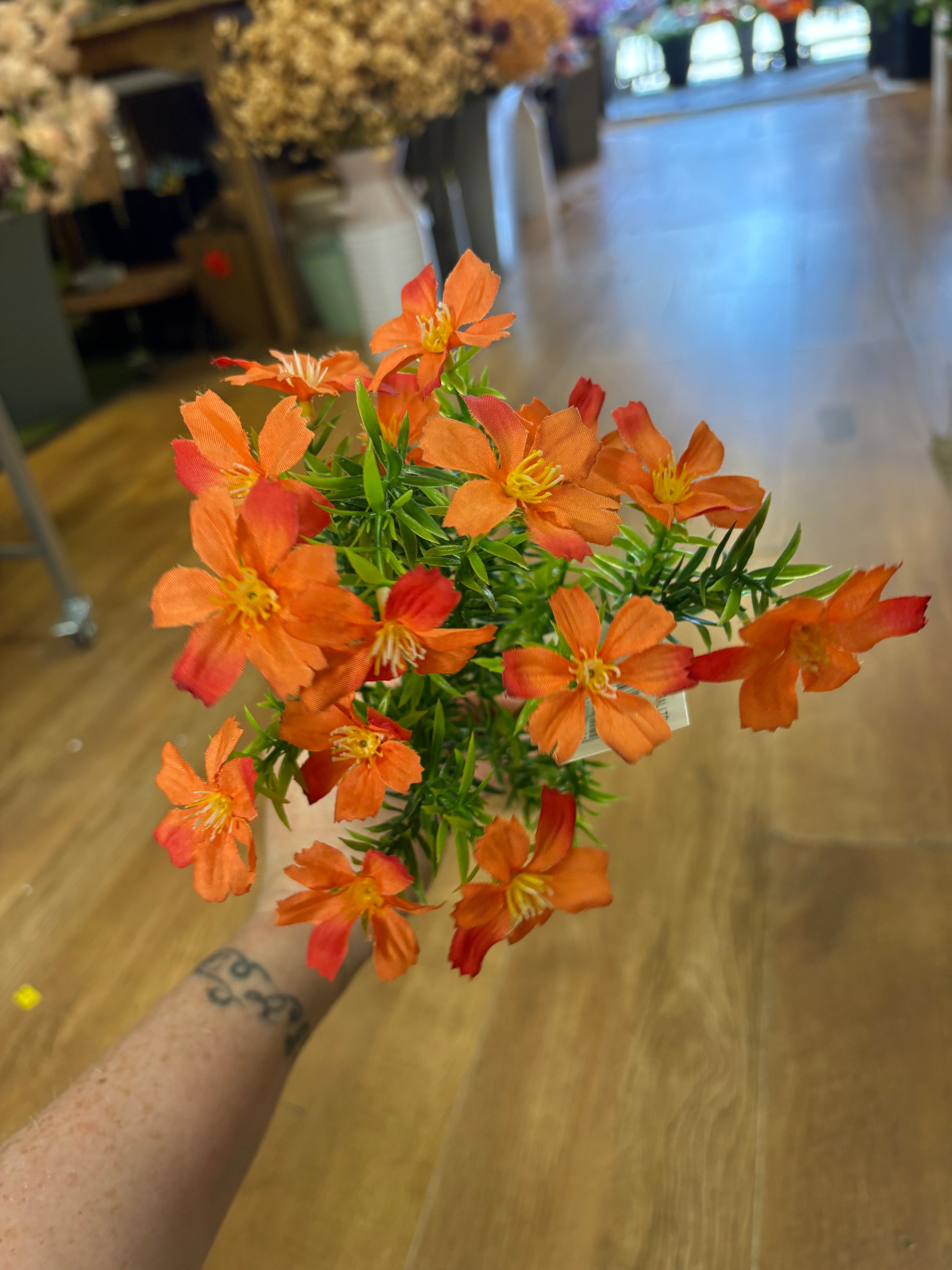 Cosmos bunch - 6 colours available