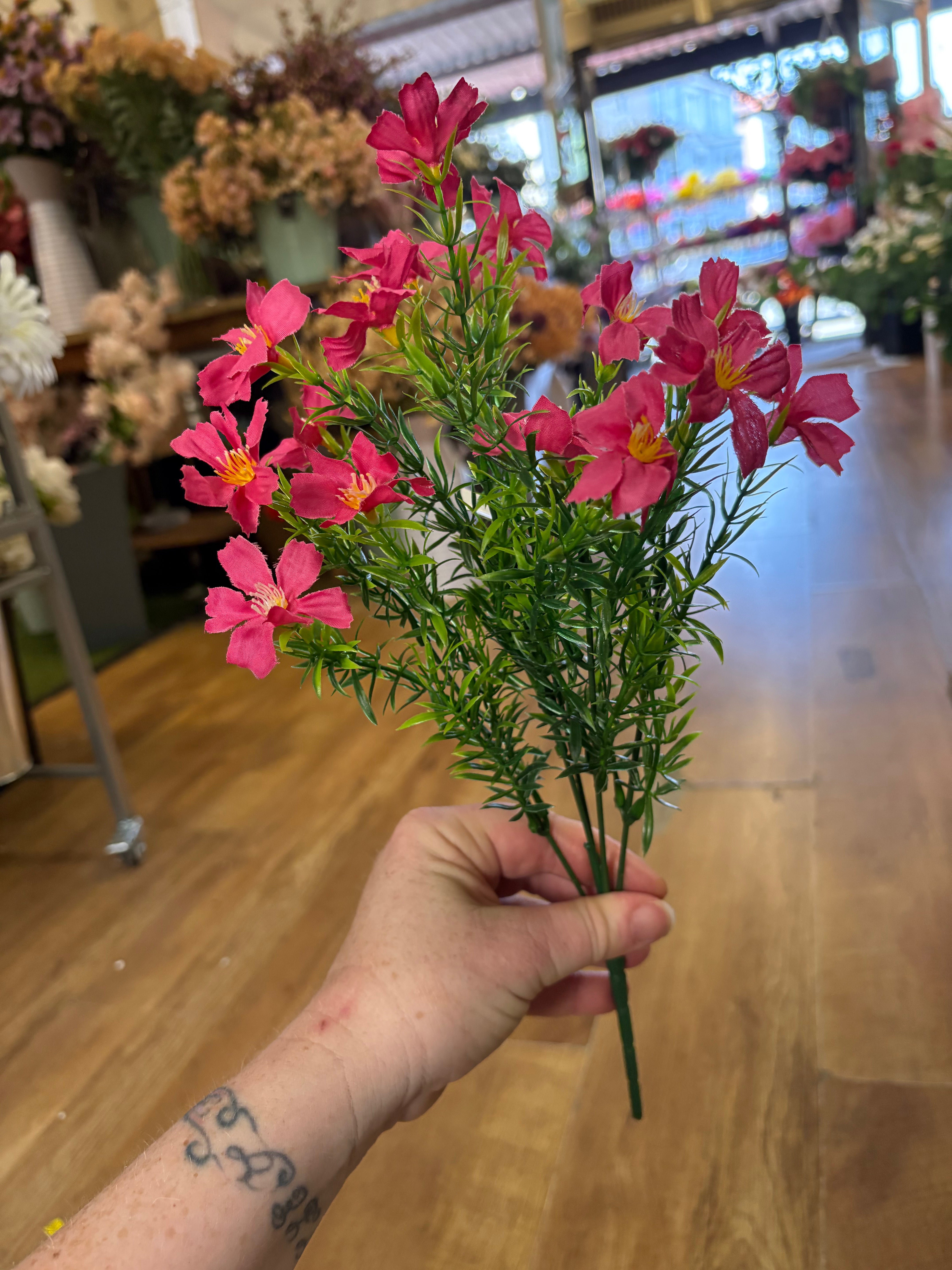 Cosmos bunch - 6 colours available