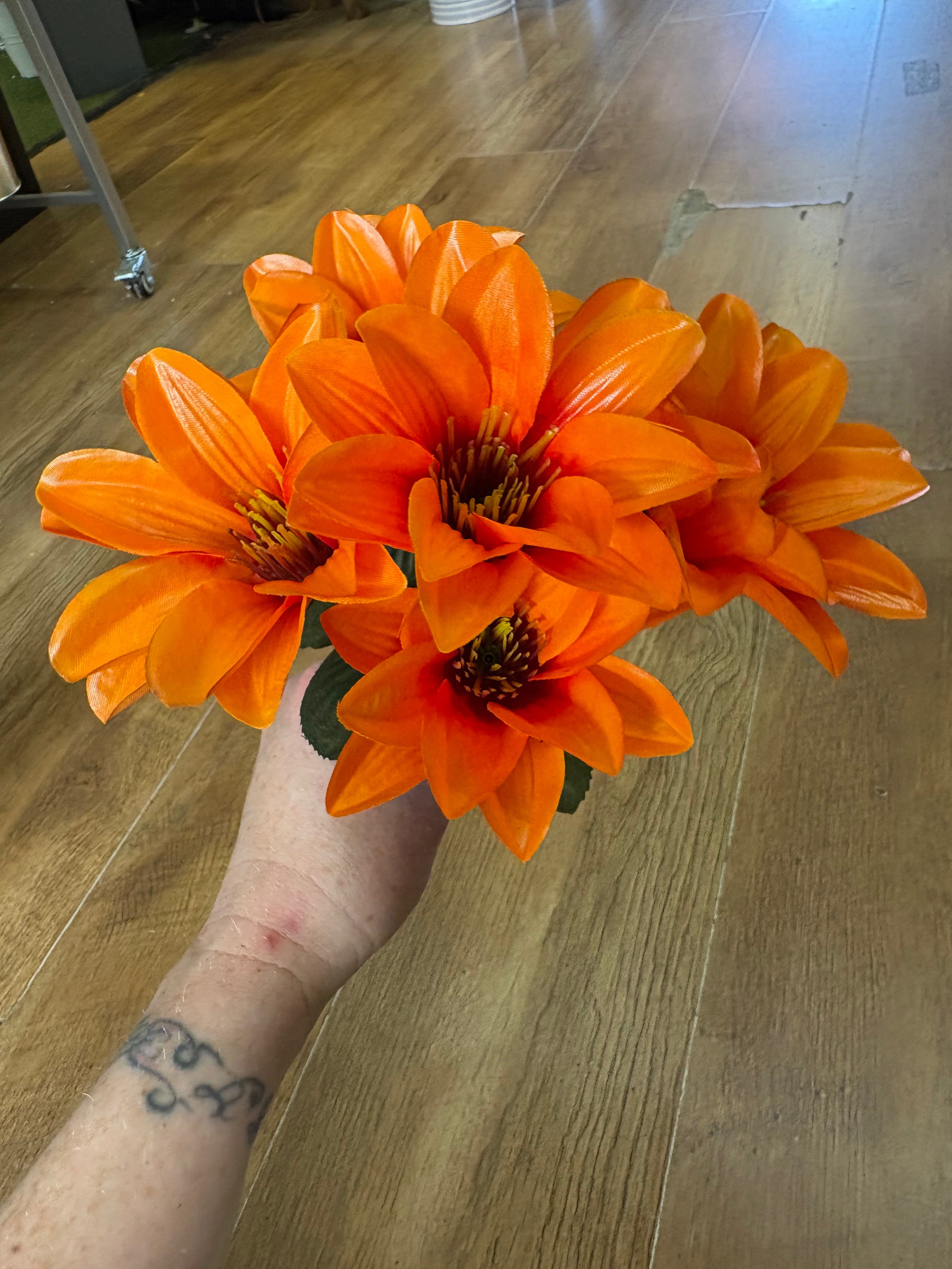 Wild dahlia bunch - 5 colours available