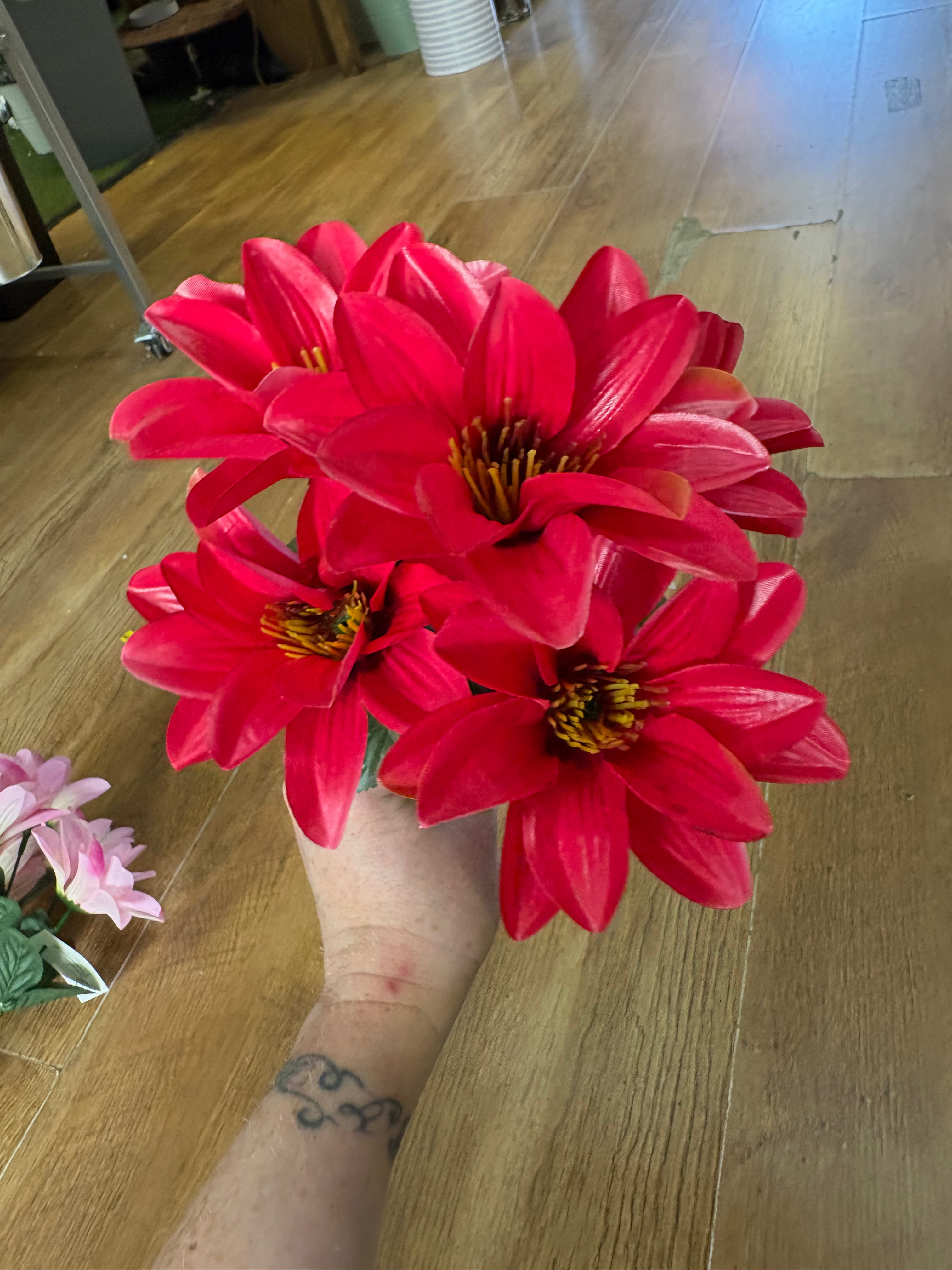 Wild dahlia bunch - 5 colours available