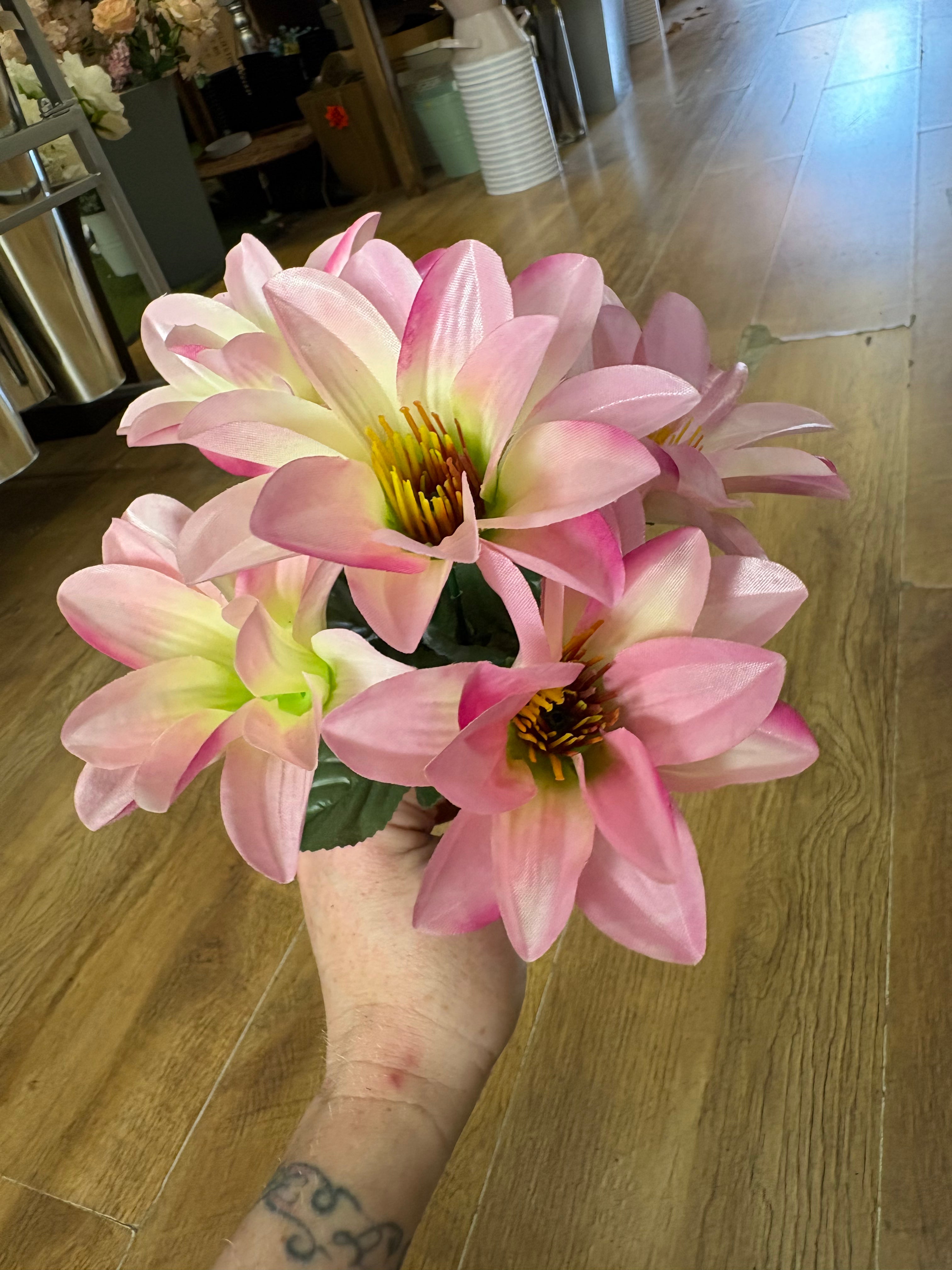 Wild dahlia bunch - 5 colours available
