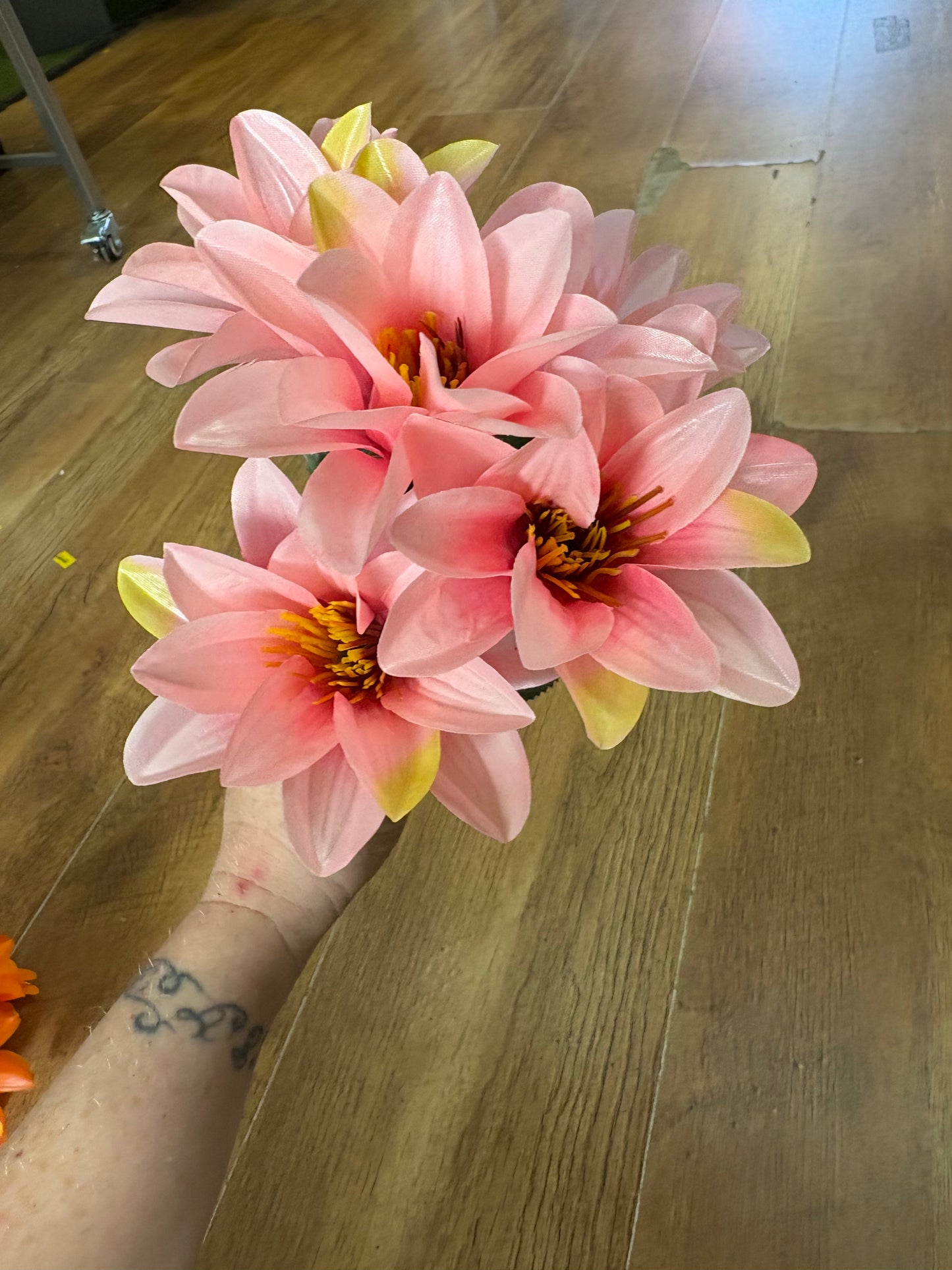 Wild dahlia bunch - 5 colours available