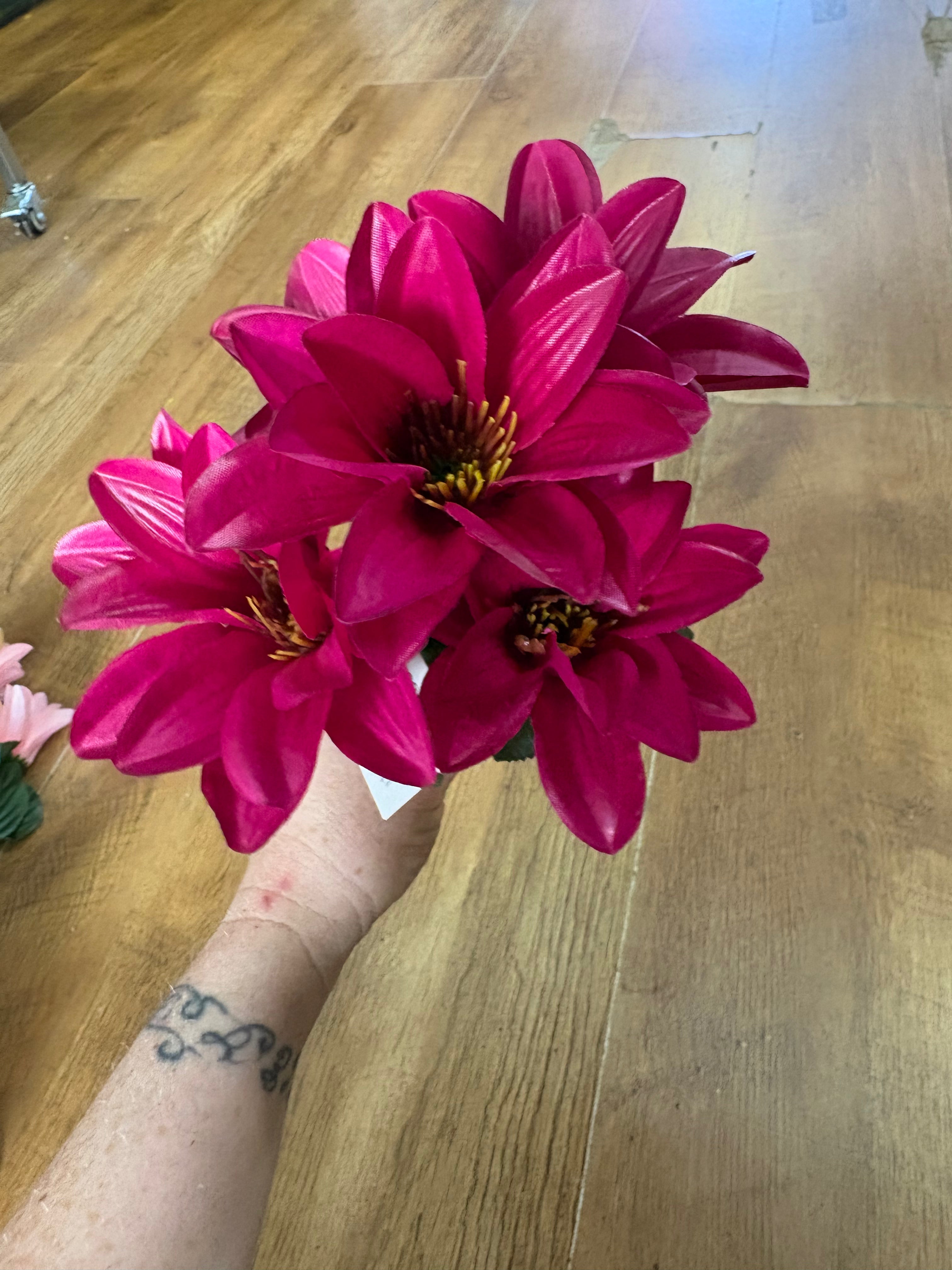Wild dahlia bunch - 5 colours available