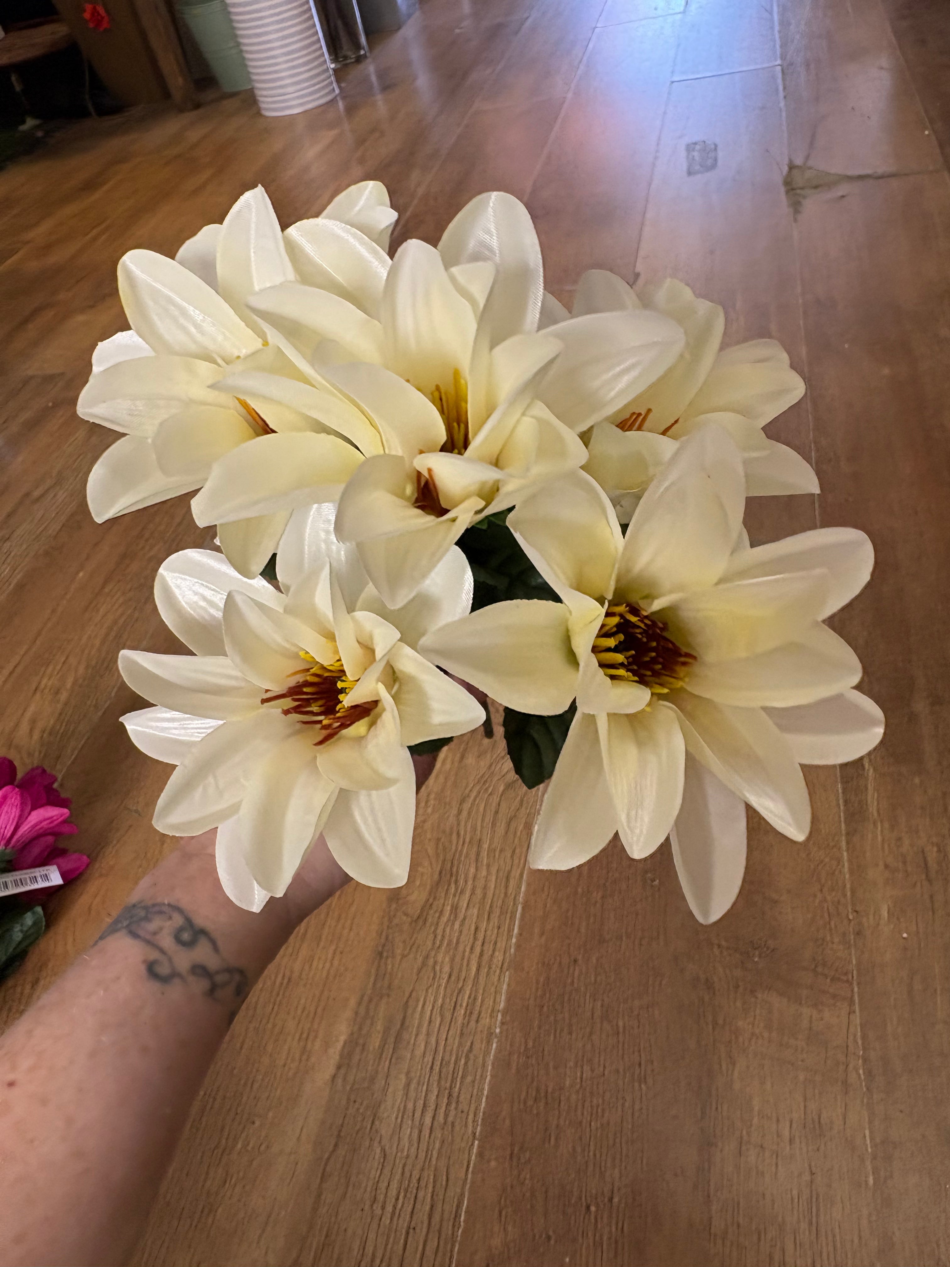 Wild dahlia bunch - 5 colours available