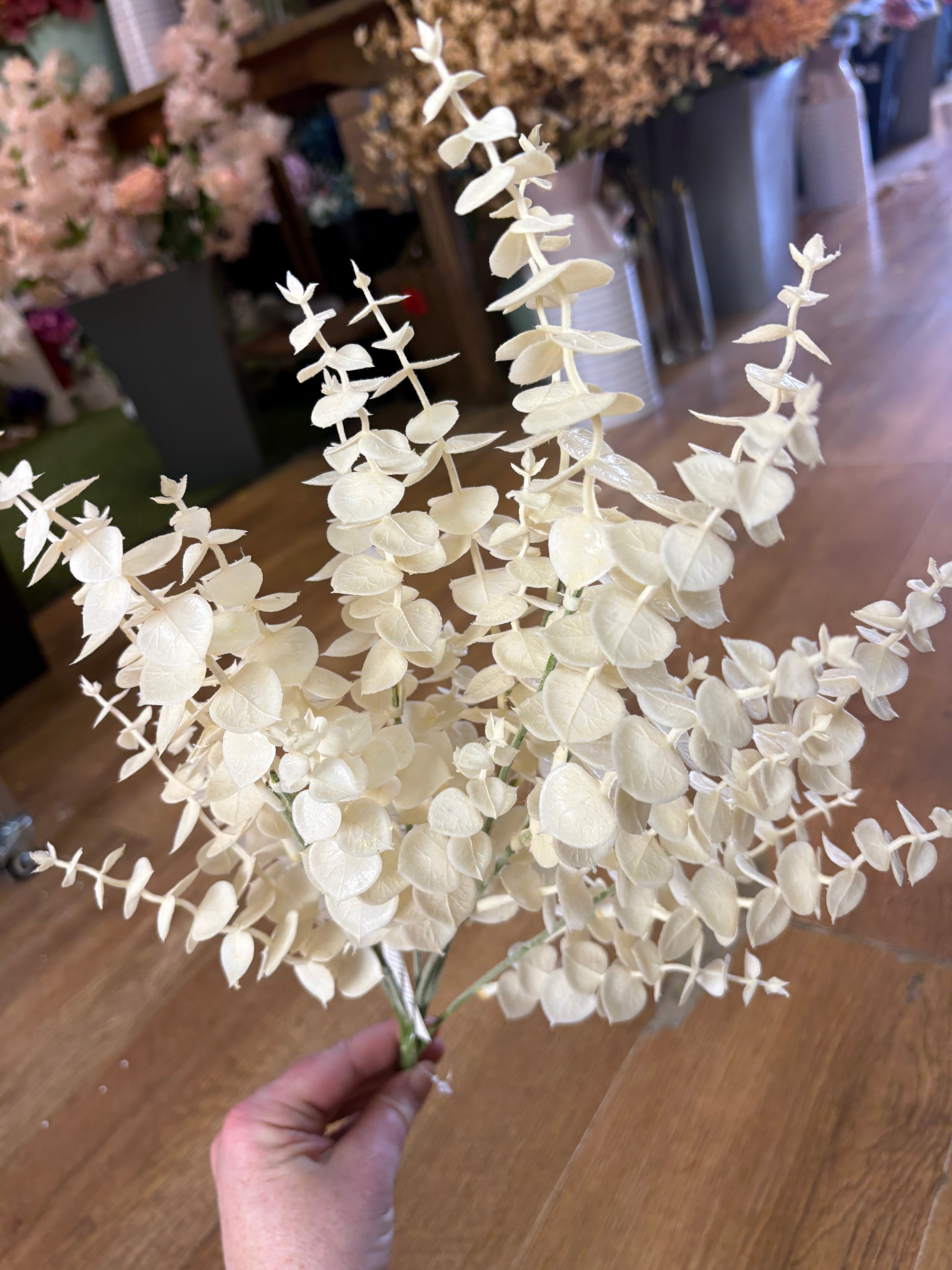 Large cream eucalyptus bunch