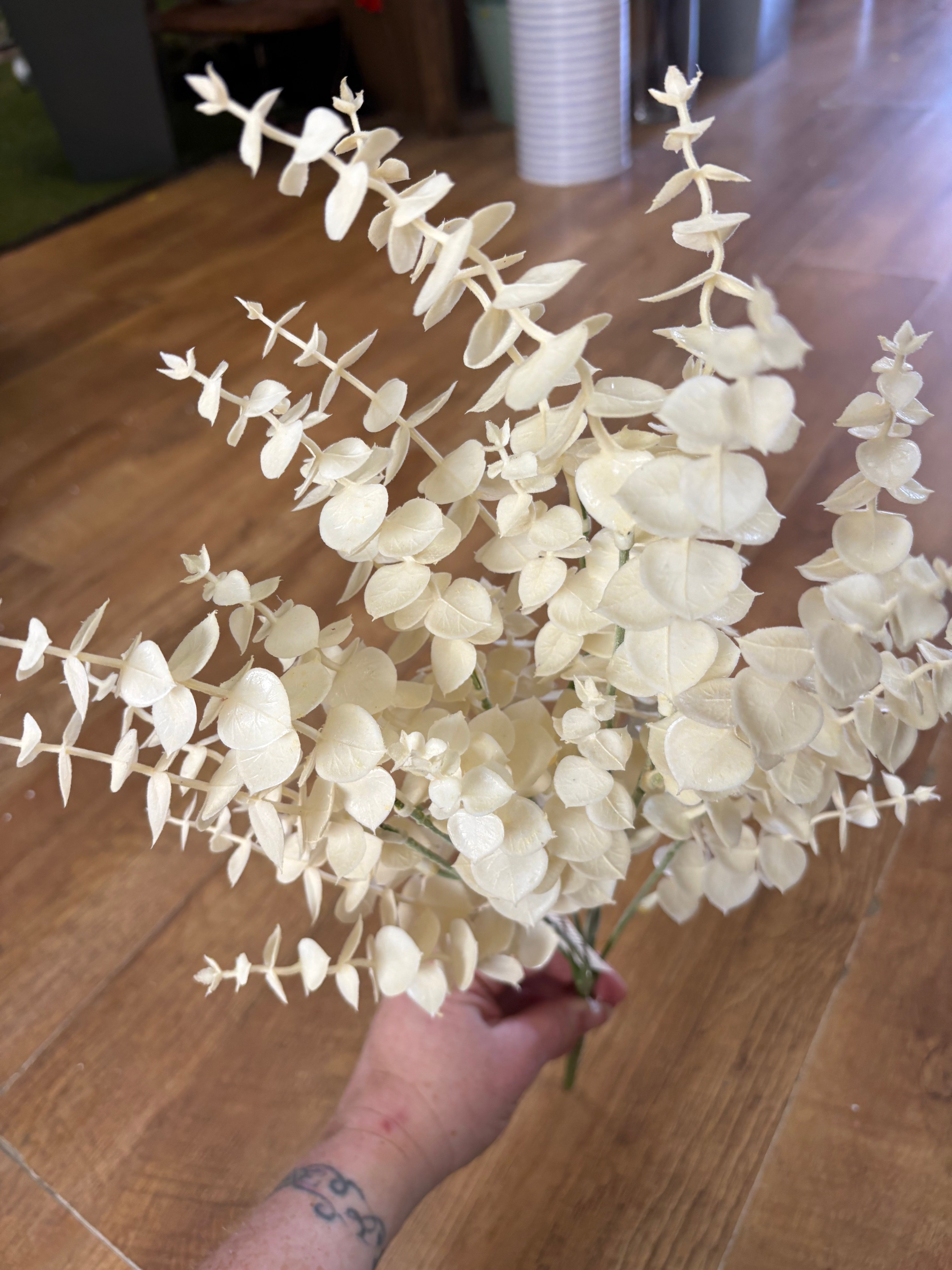 Large cream eucalyptus bunch