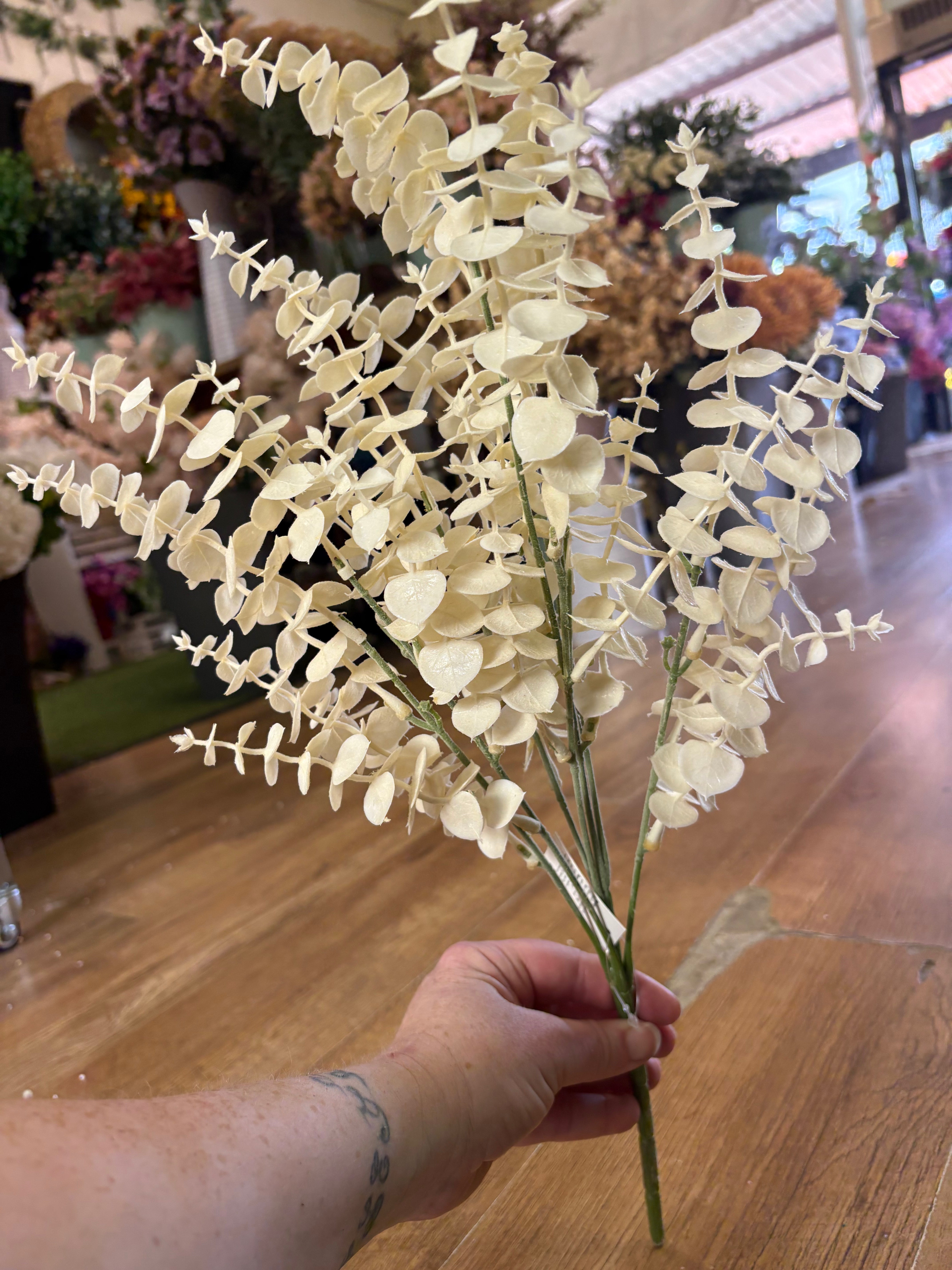 Large cream eucalyptus bunch