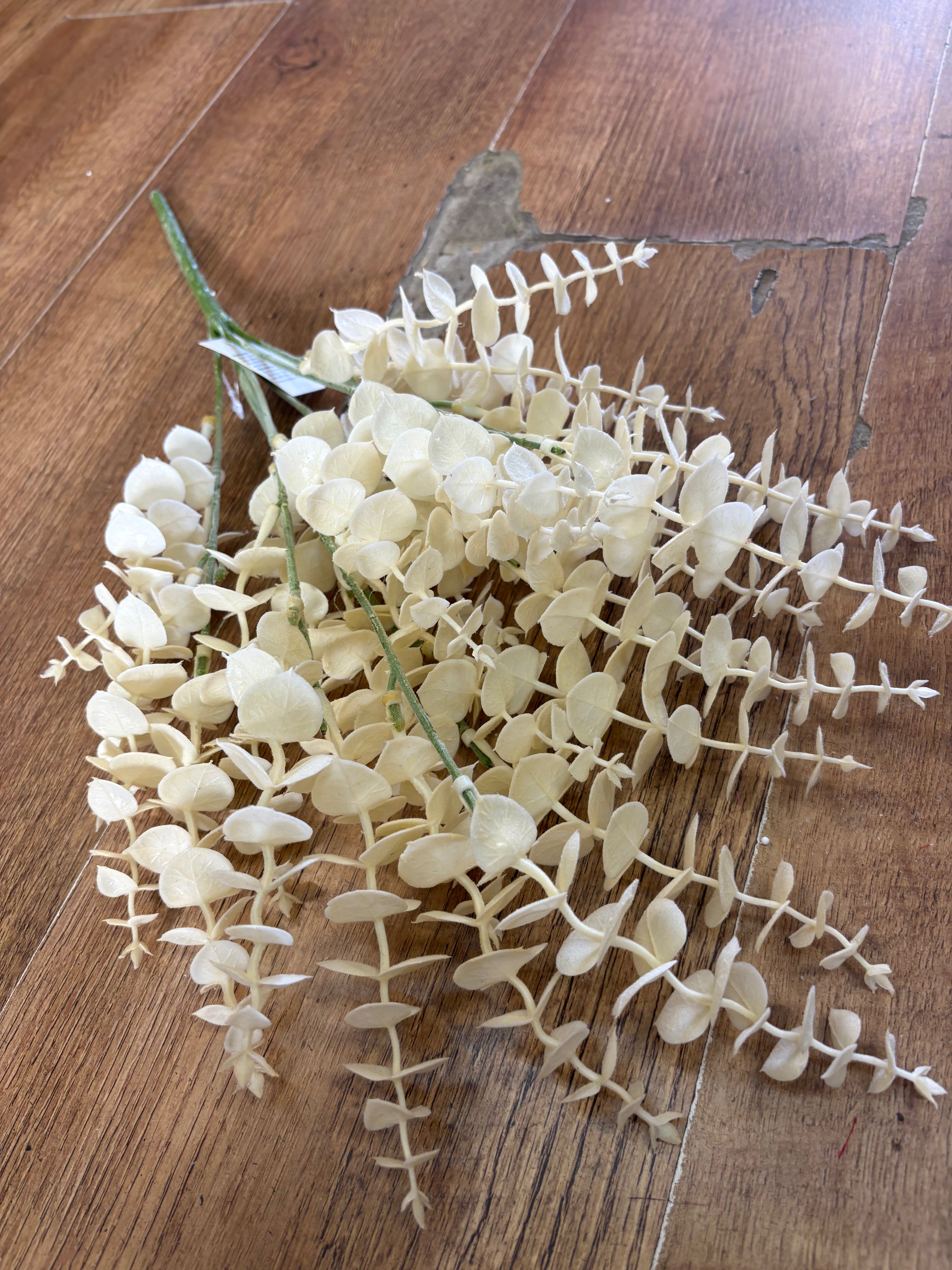 Large cream eucalyptus bunch
