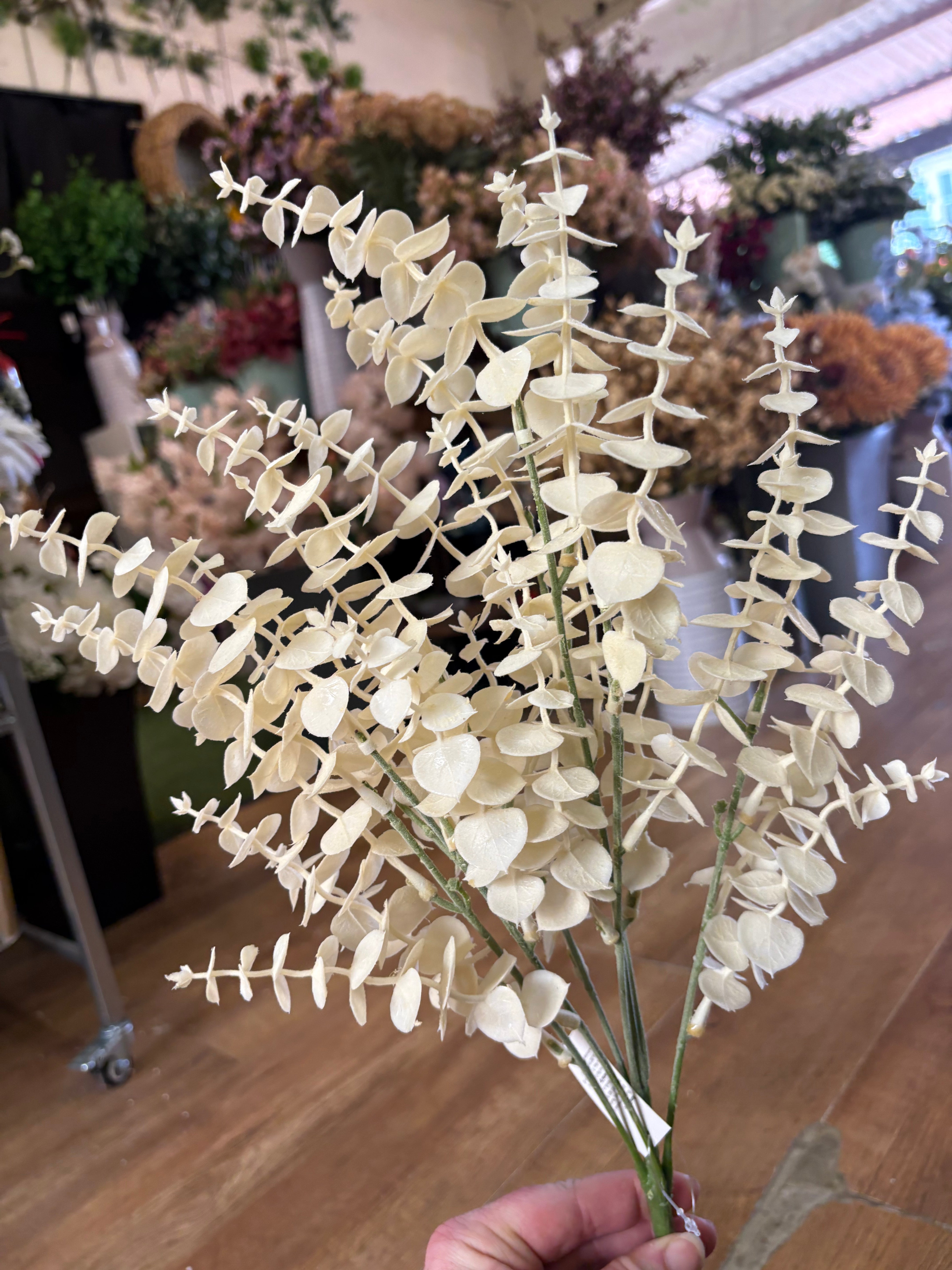 Large cream eucalyptus bunch