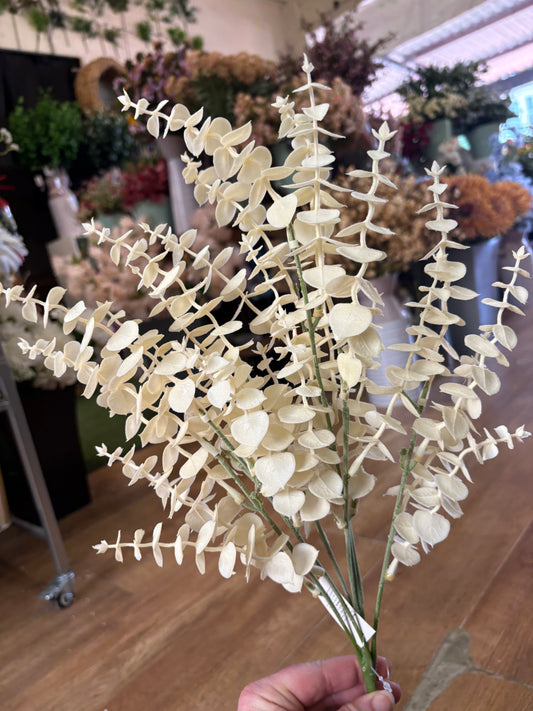 Large cream eucalyptus bunch