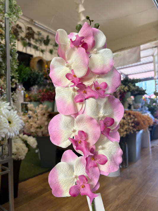 96cm tall pink and white orchid stem