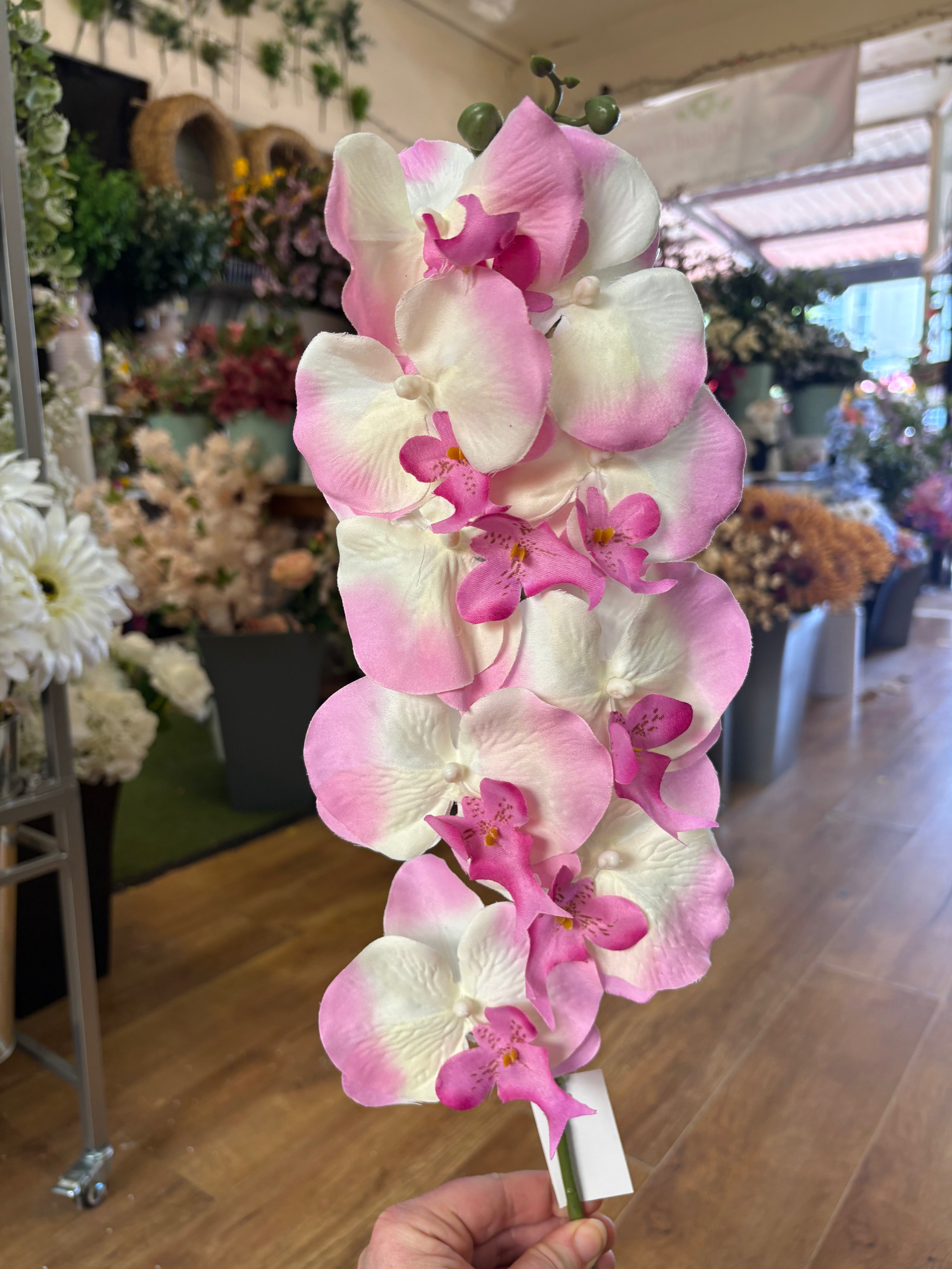 96cm tall pink and white orchid stem
