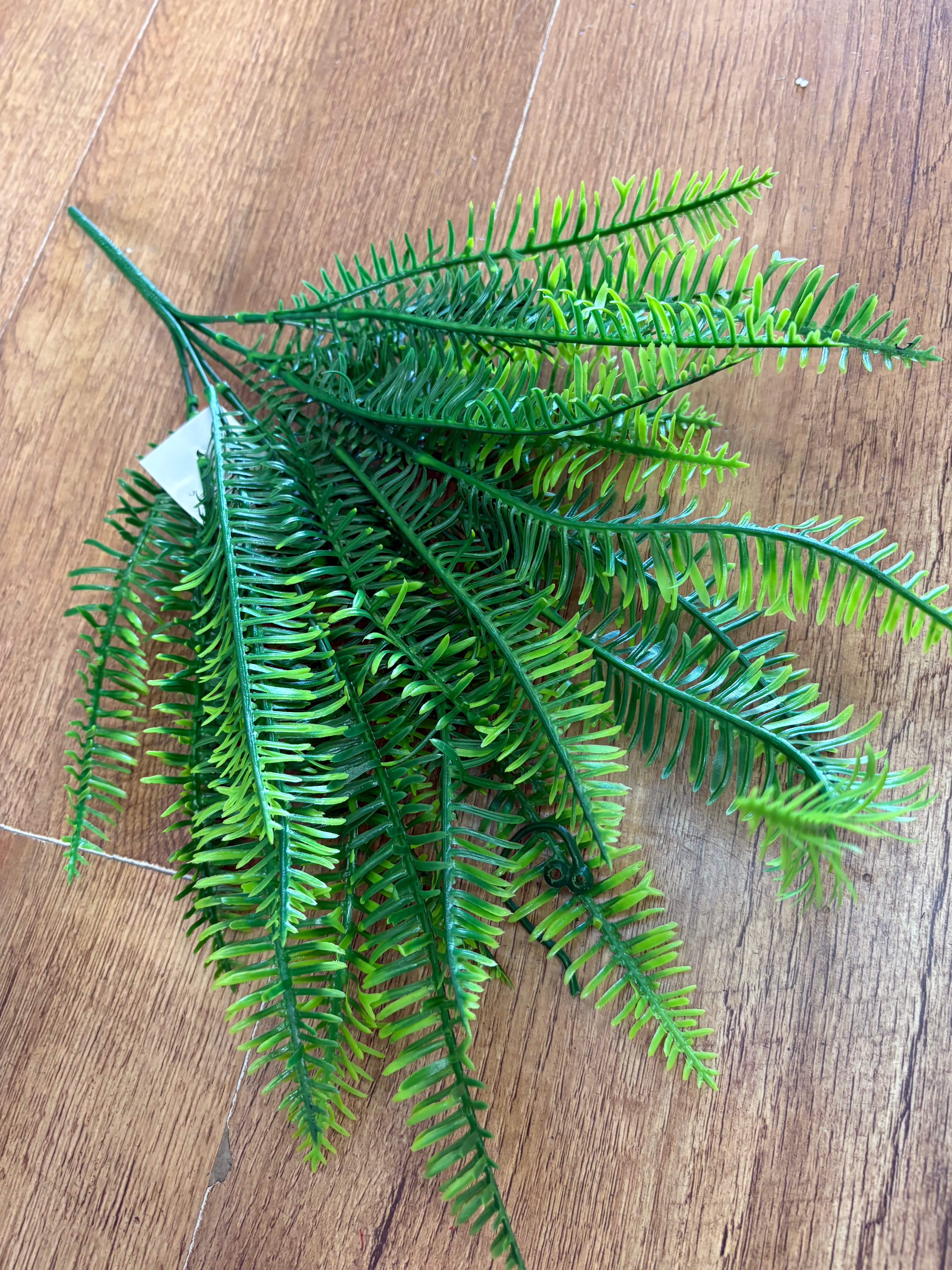 Plastic fern bunch