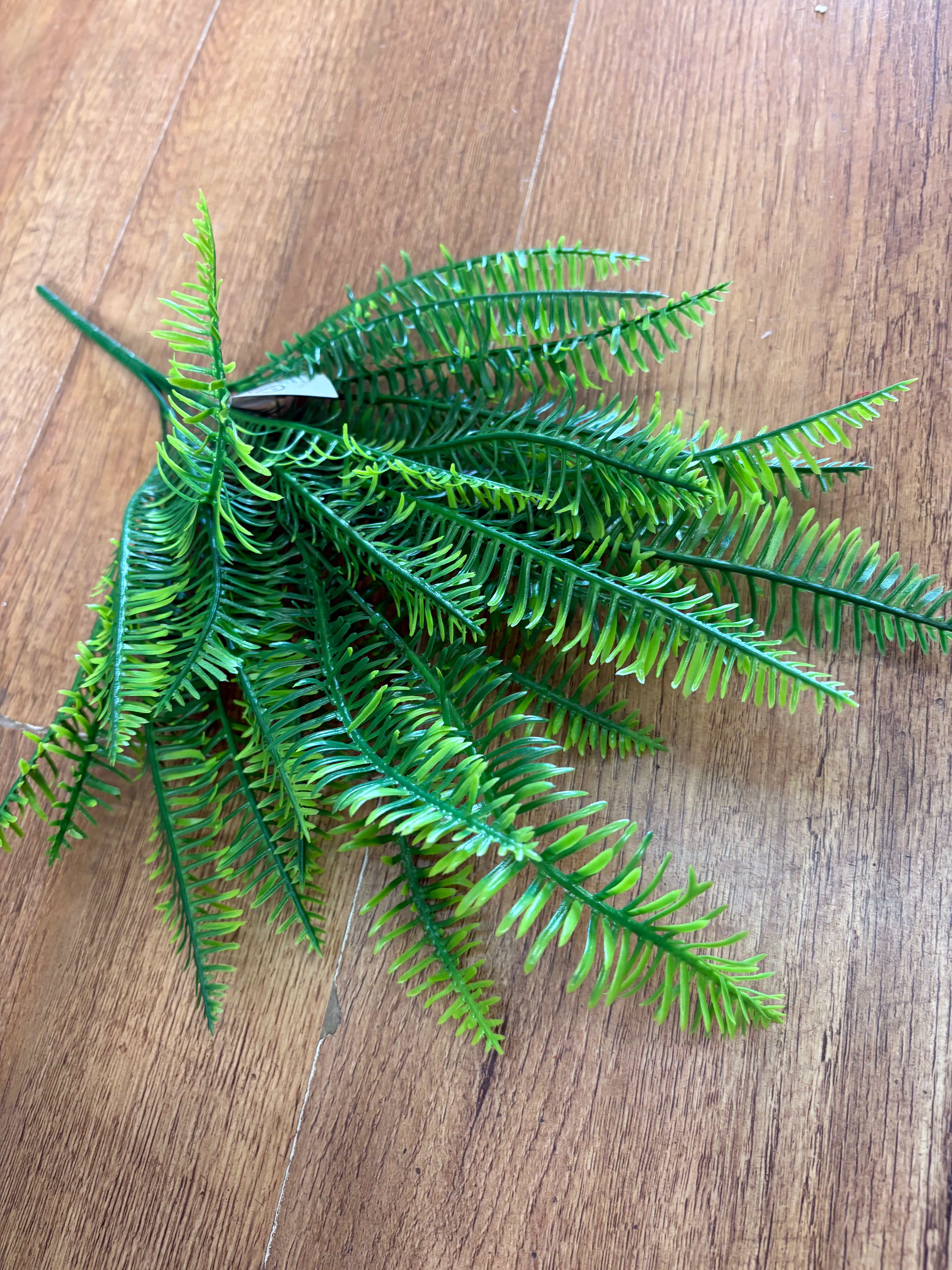 Plastic fern bunch