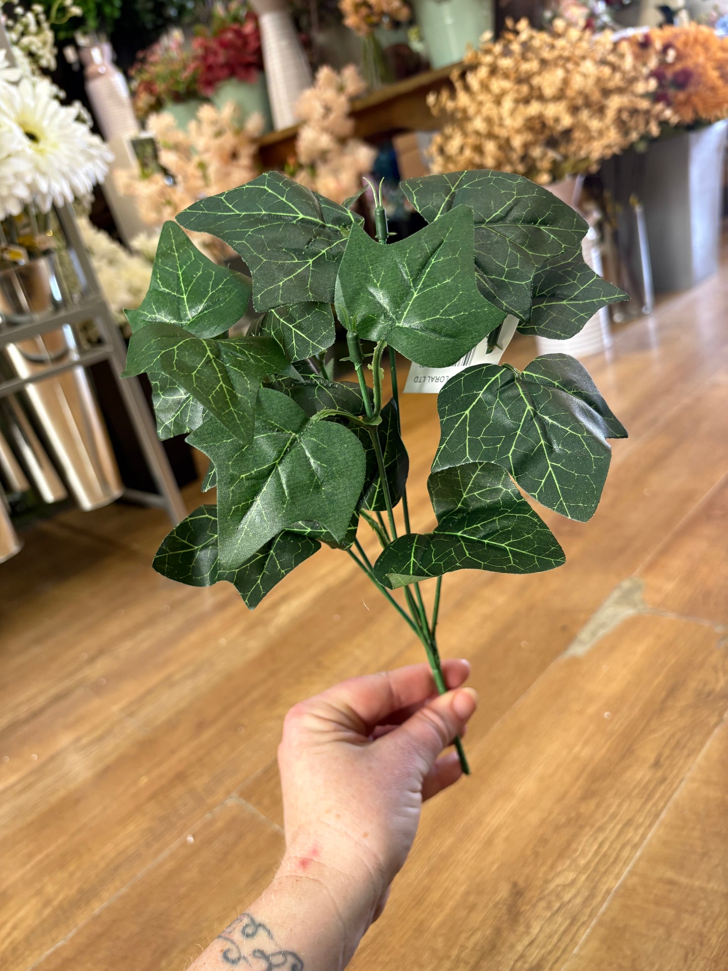 Ivy bunch