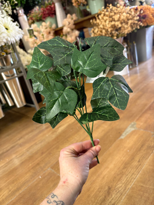 Ivy bunch