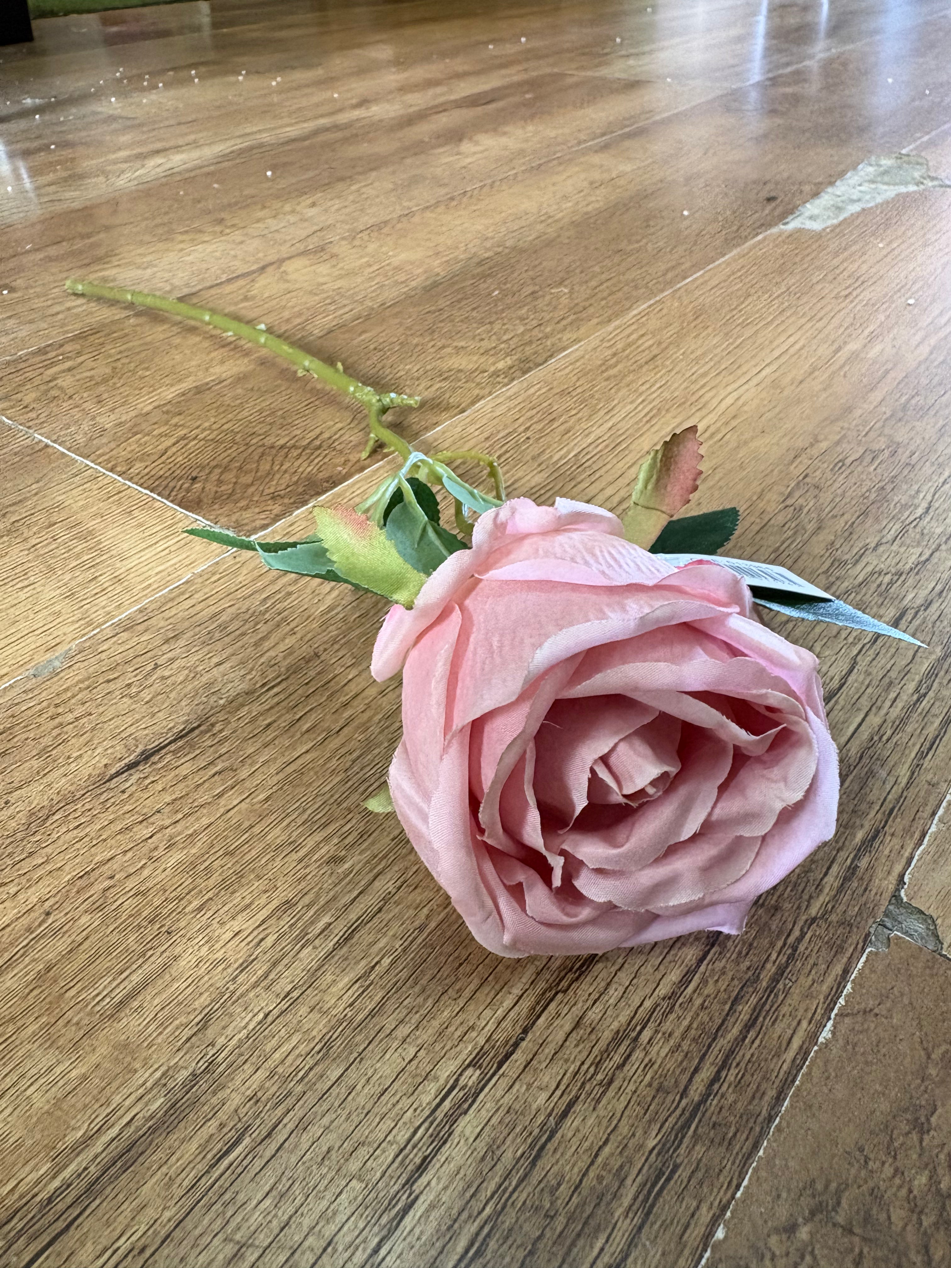 Single pink globe rose (head approx 8/9cm)