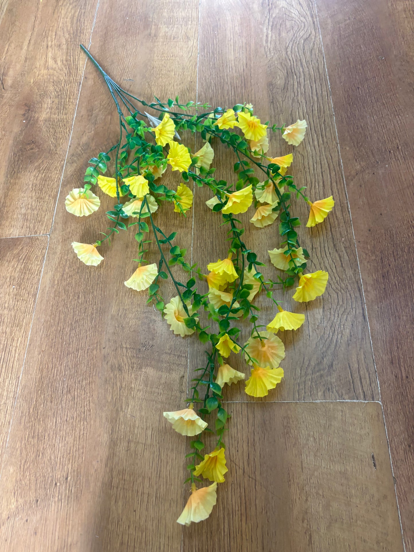 Mixed yellow petunia trailer