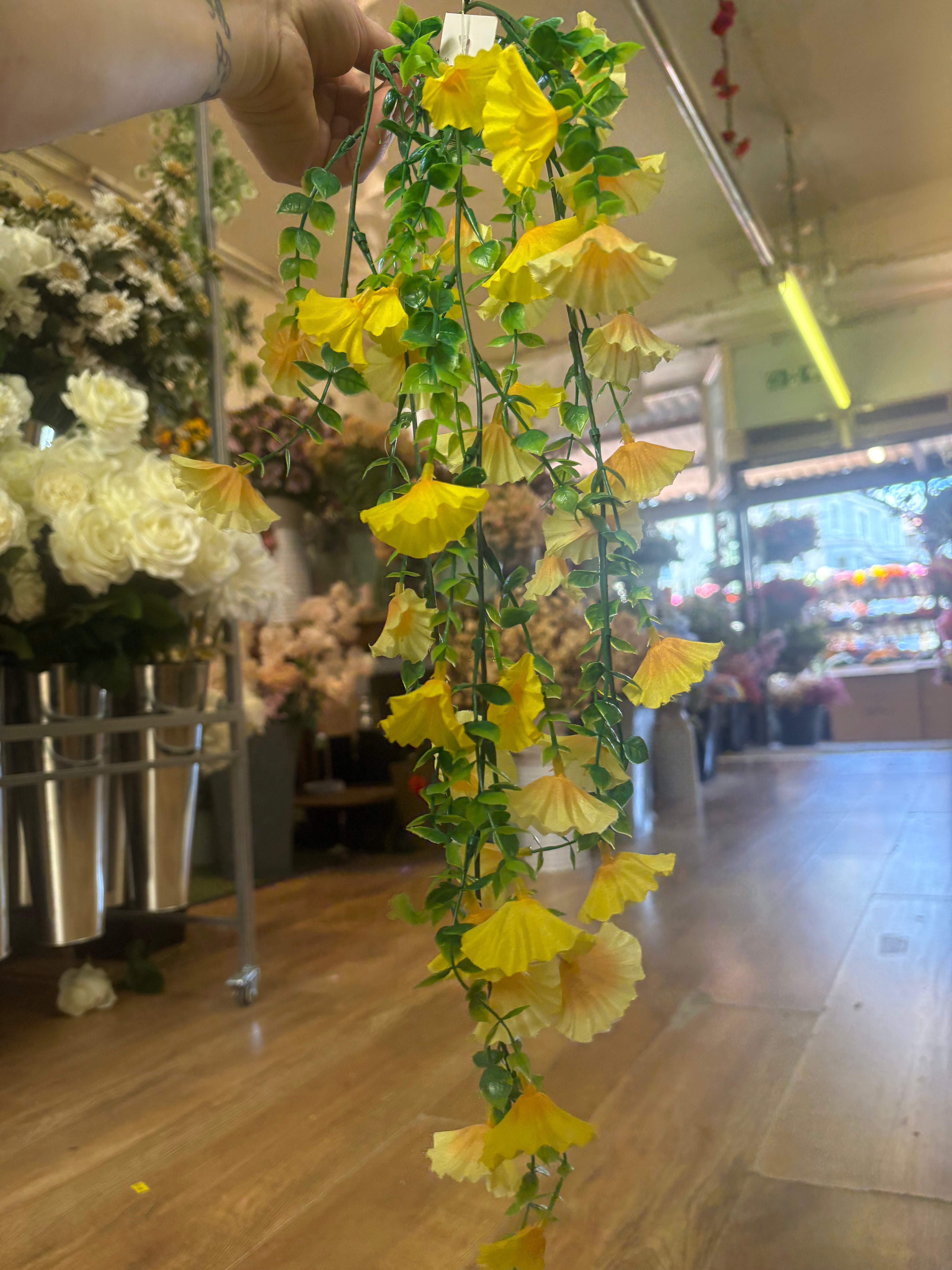 Mixed yellow petunia trailer