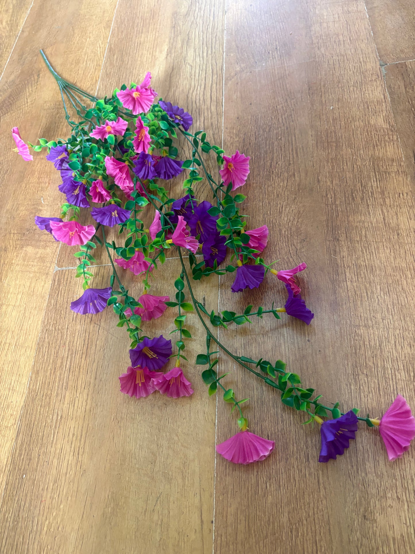 Purple and raspberry petunia trailer
