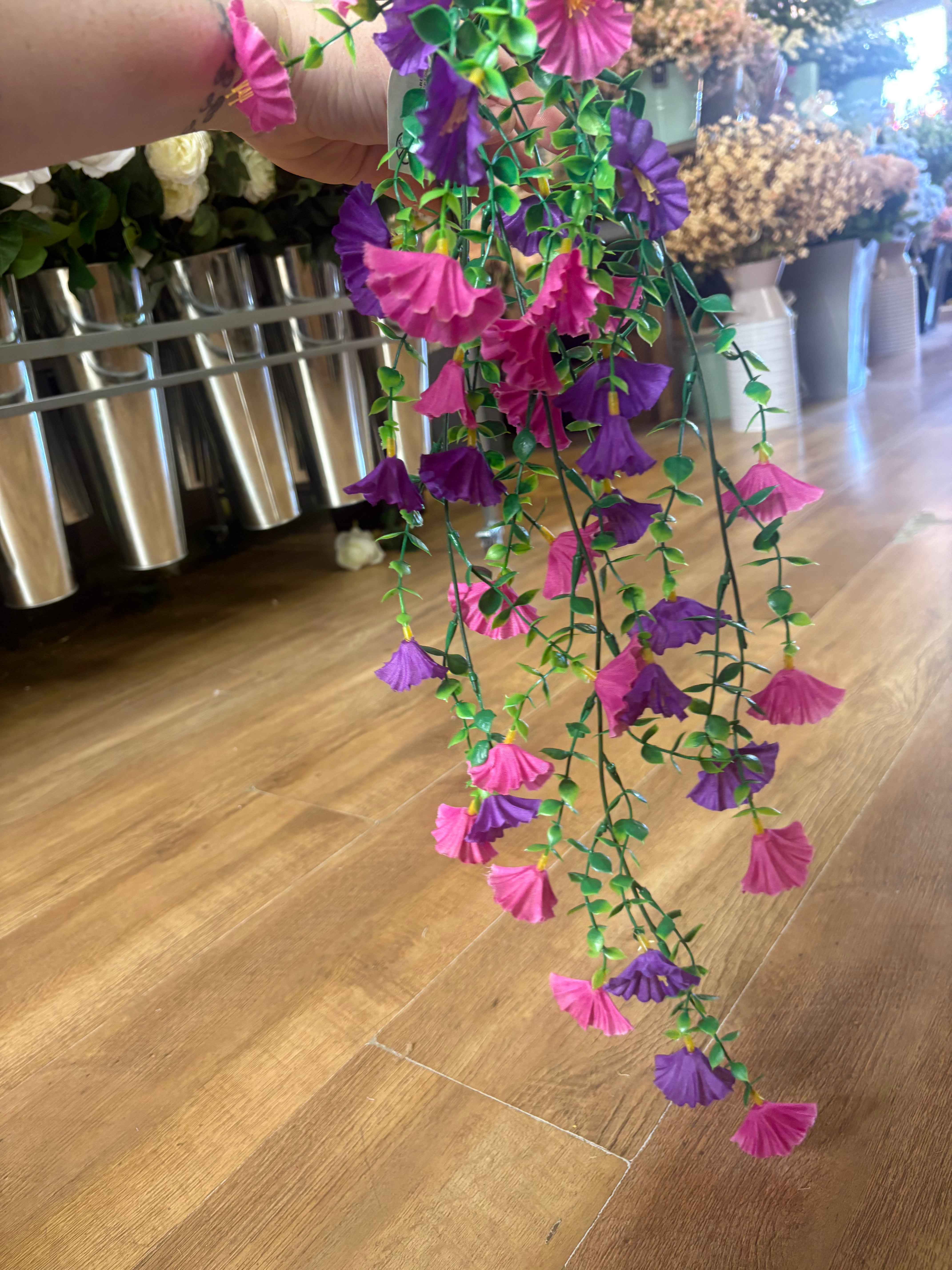 Purple and raspberry petunia trailer