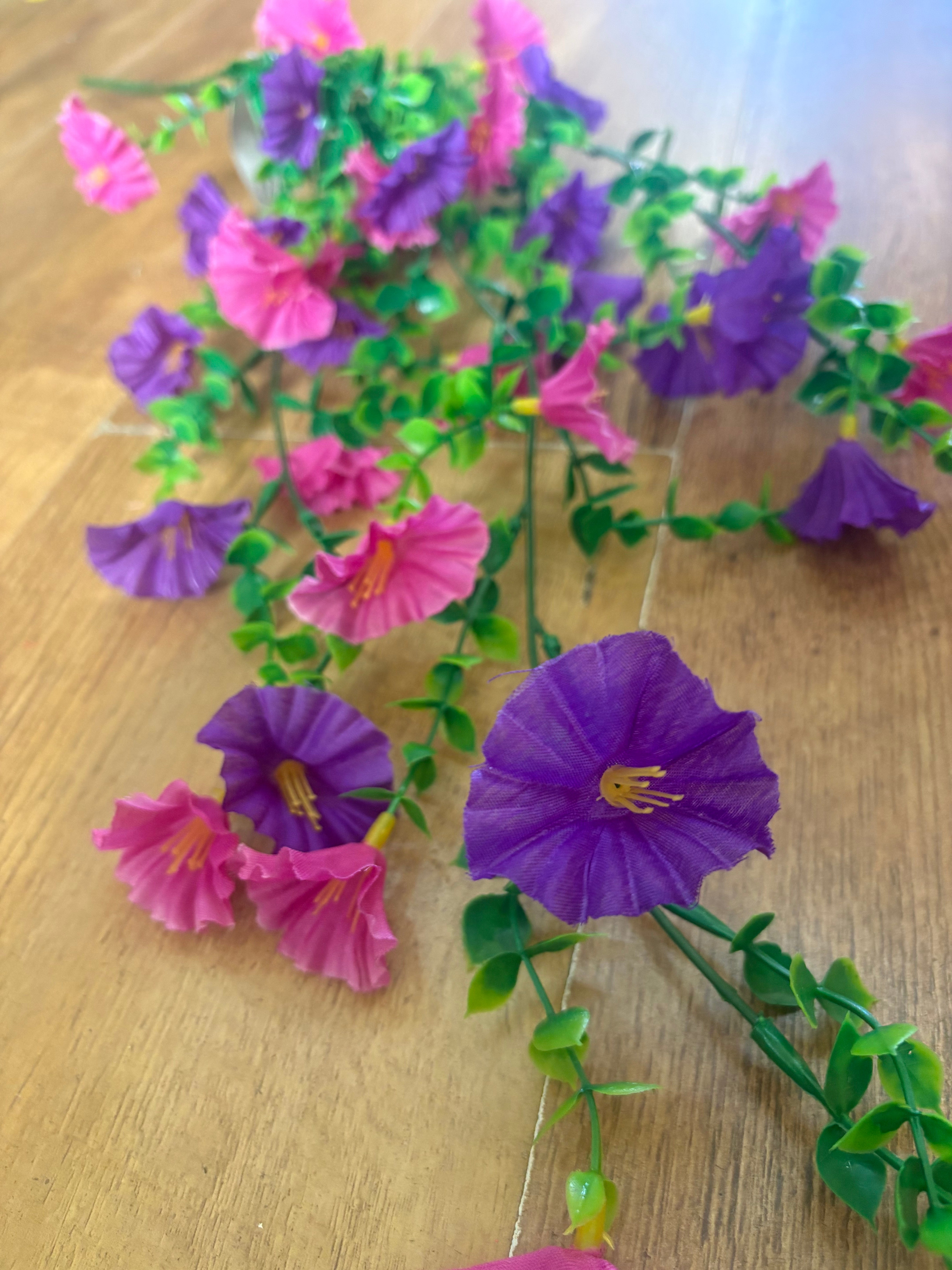 Purple and raspberry petunia trailer