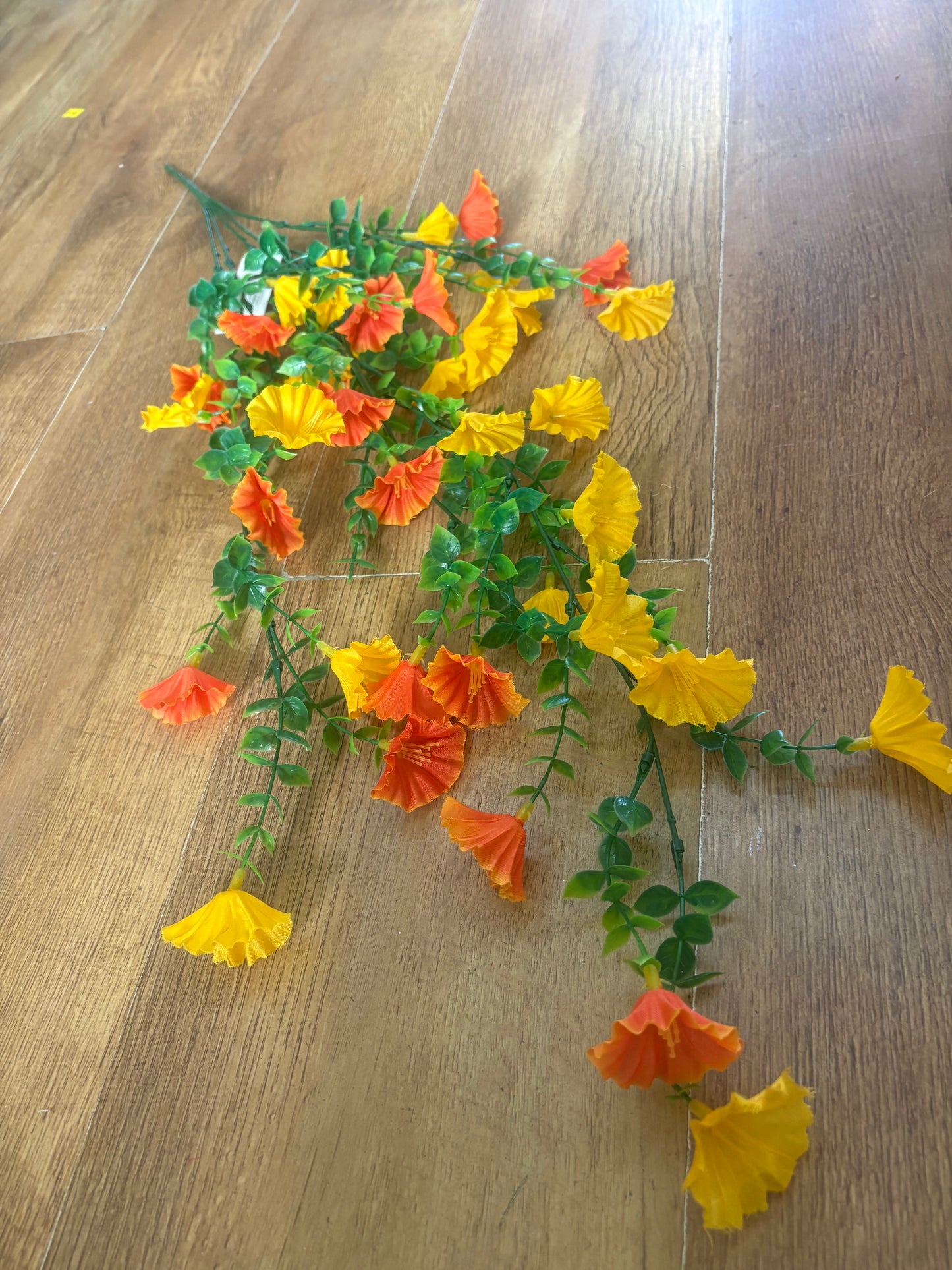 Orange and yellow petunia trailer