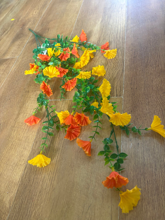 Orange and yellow petunia trailer