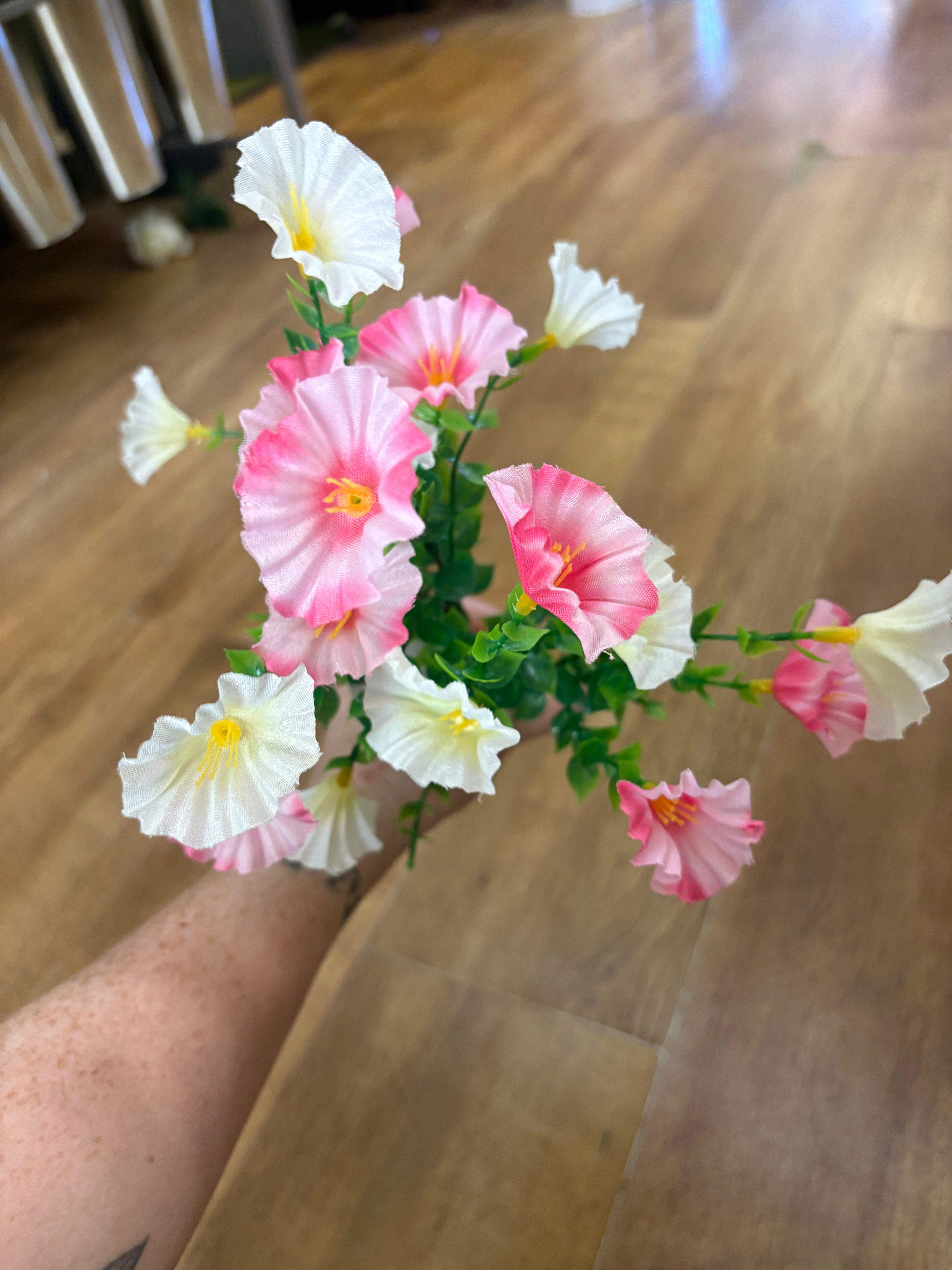 Petunia bunch - 6 colours available