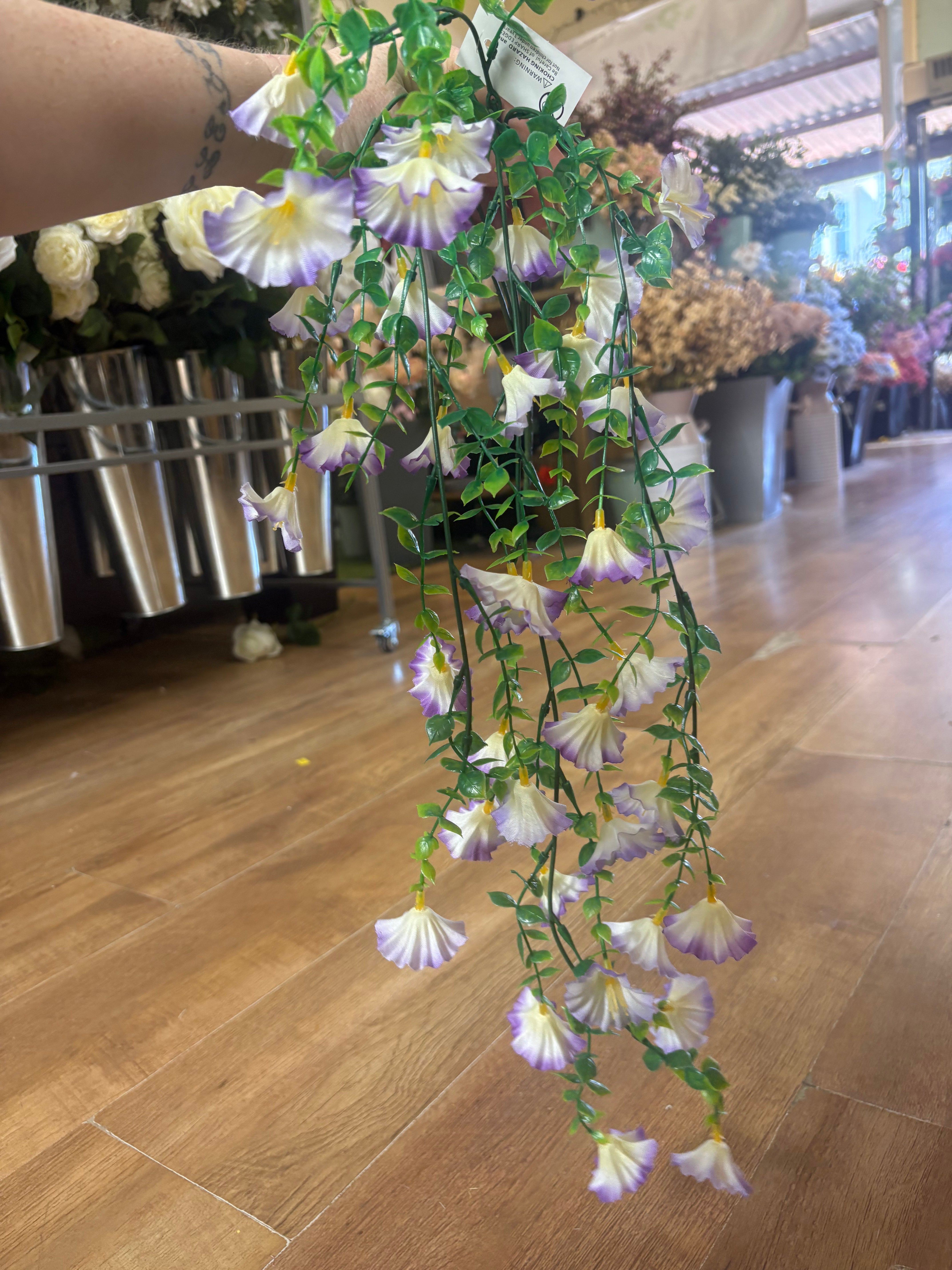 White with purple tip petunia trailer