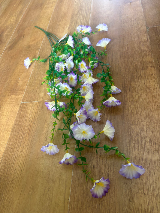 White with purple tip petunia trailer