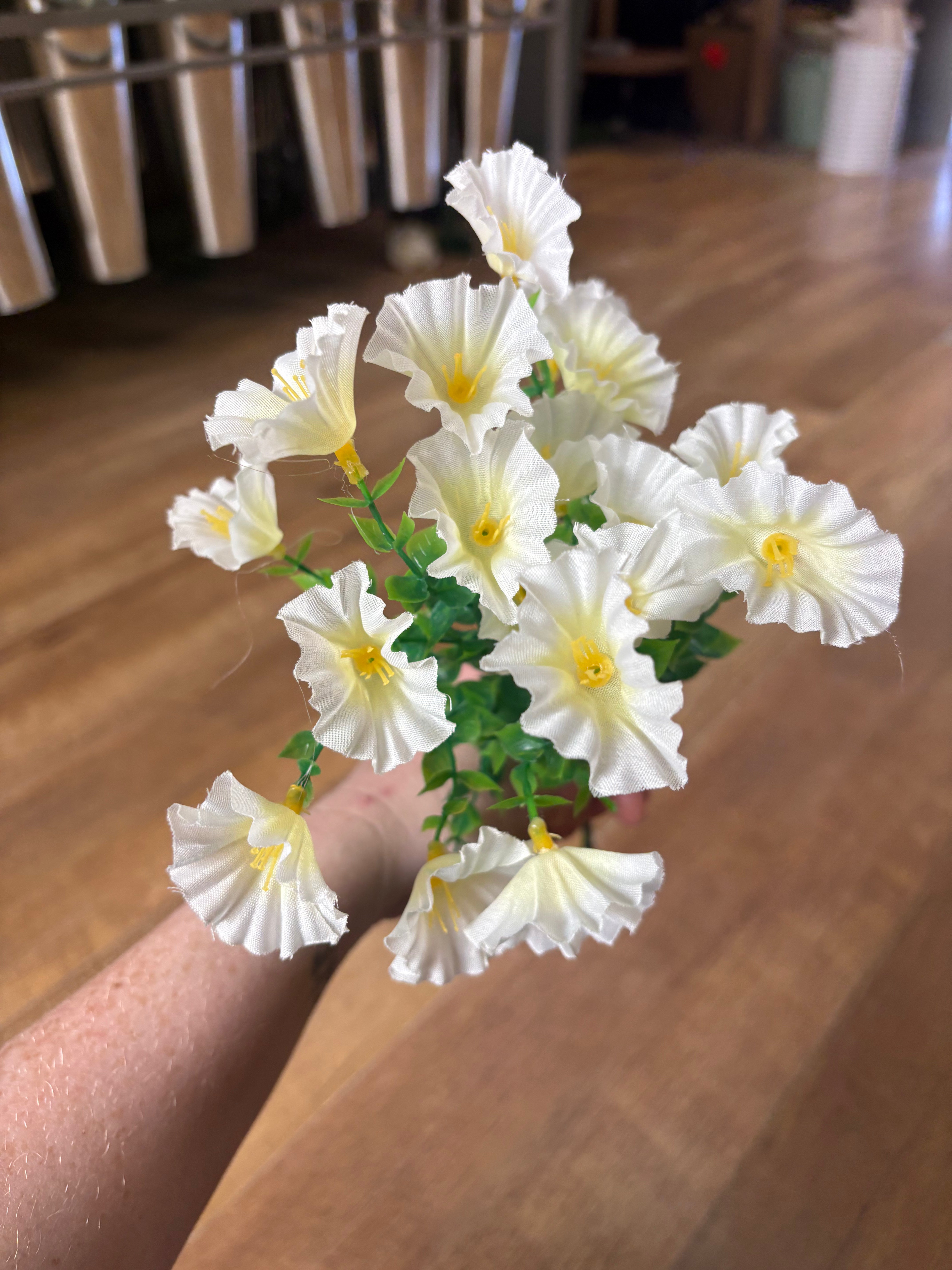 Petunia bunch - 6 colours available