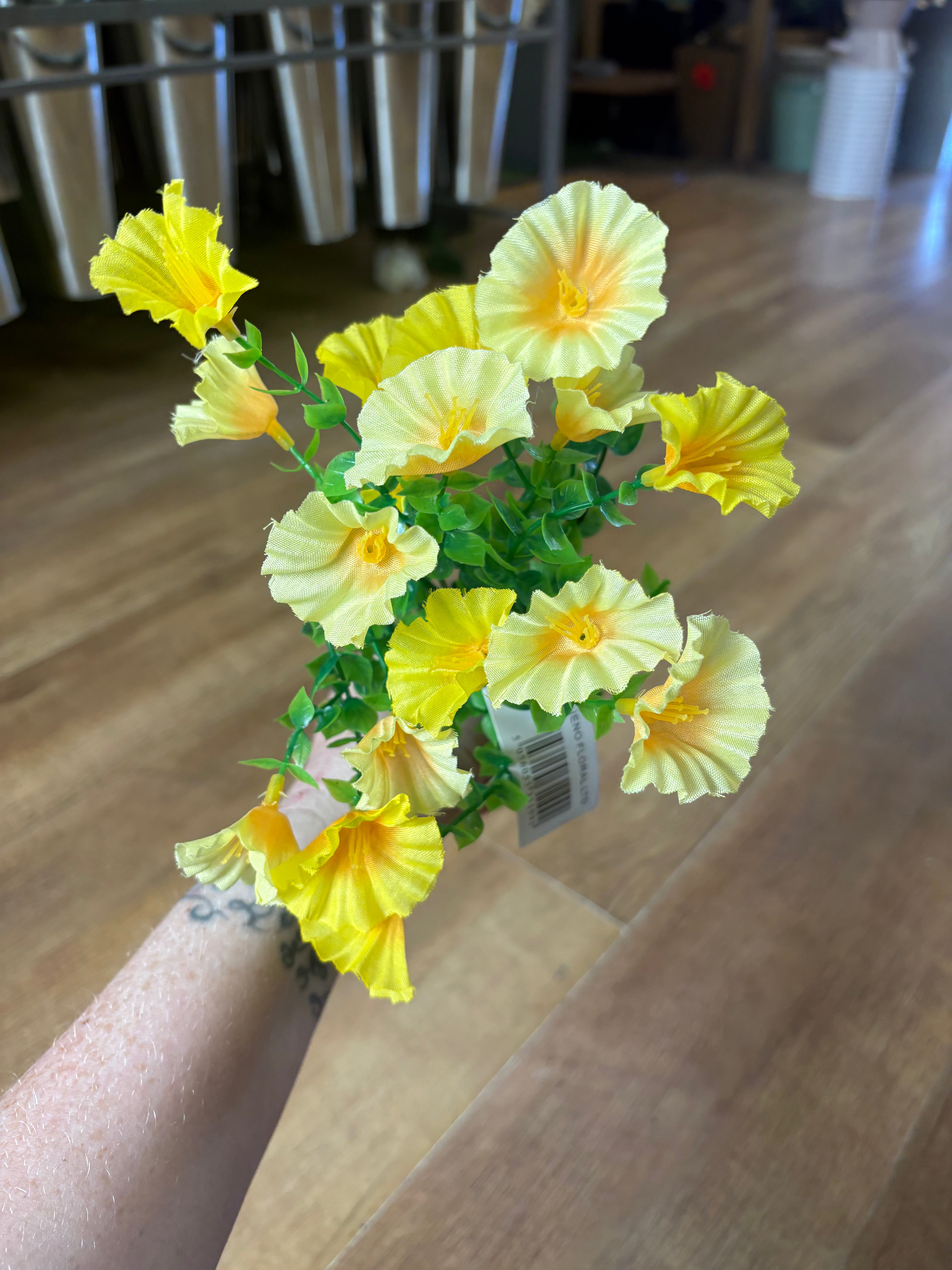 Petunia bunch - 6 colours available
