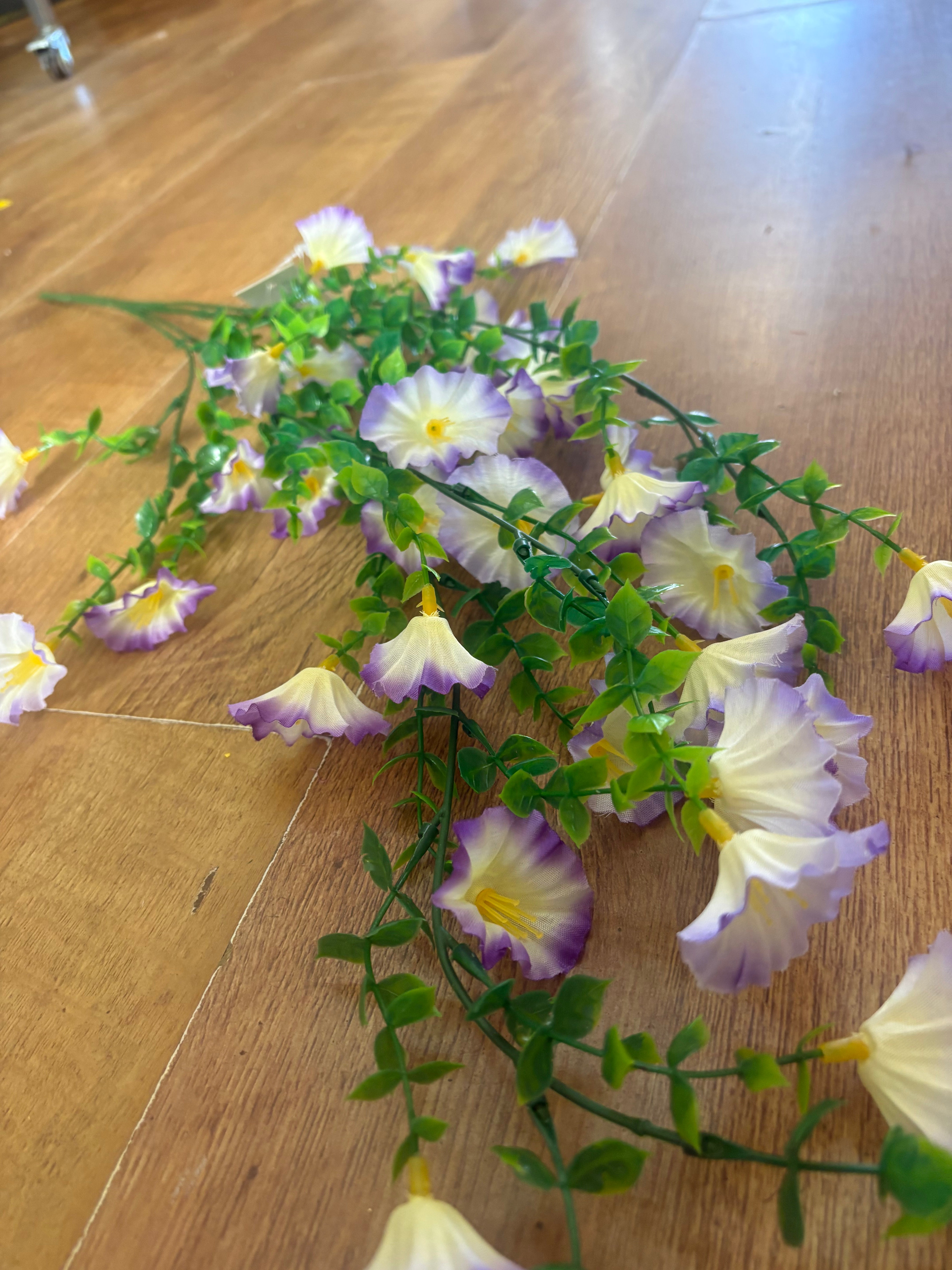 White with purple tip petunia trailer