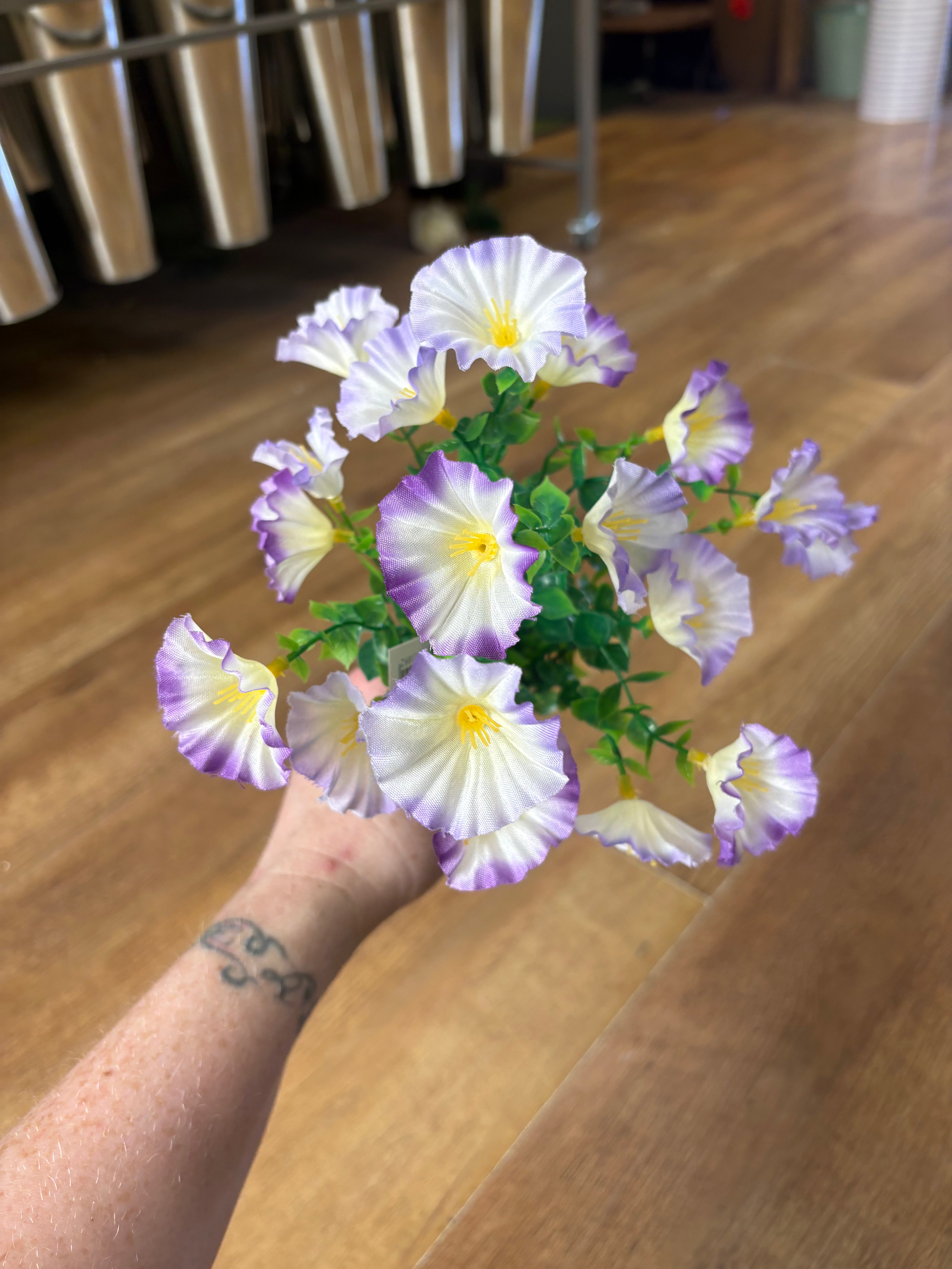 Petunia bunch - 6 colours available